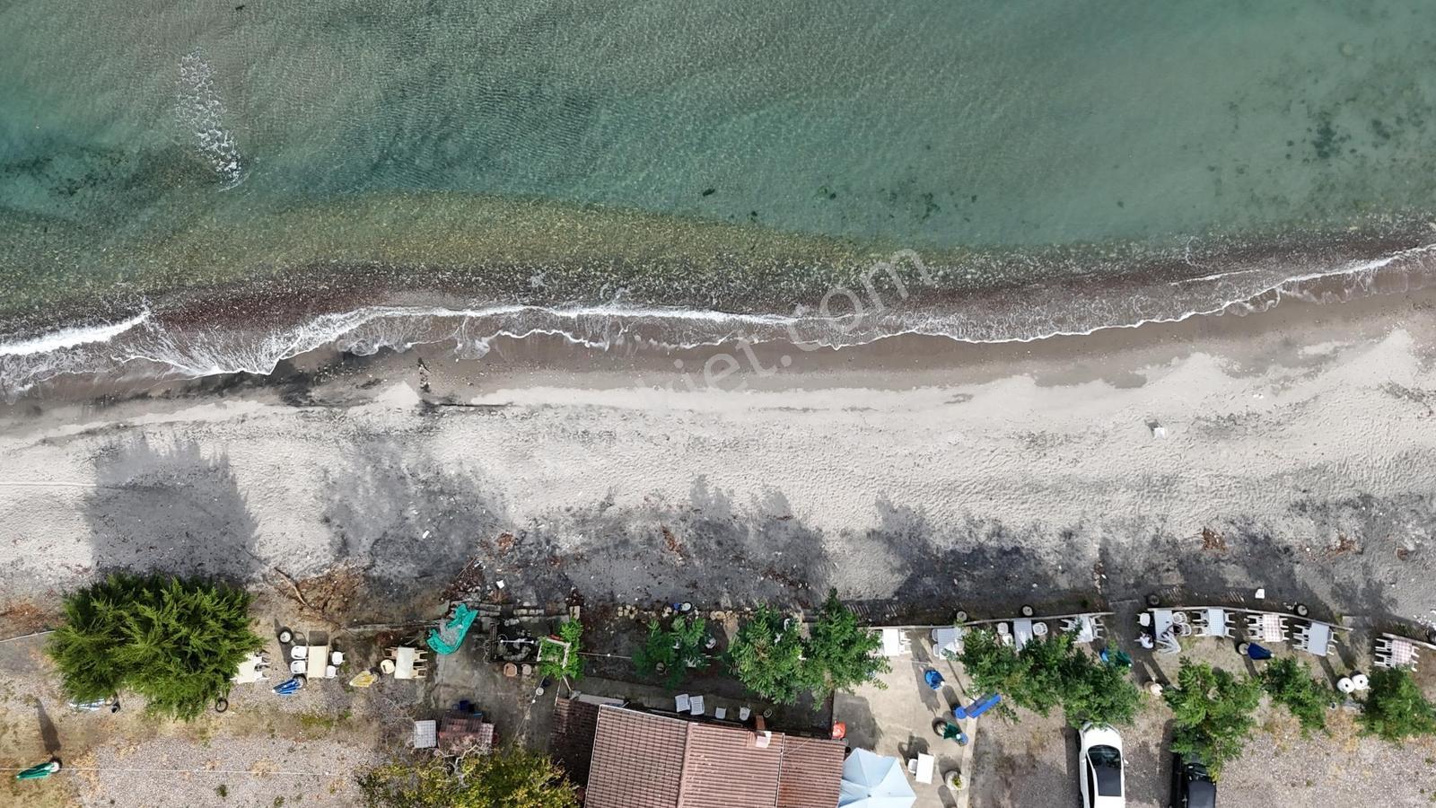Perşembe Çakada Denize Sıfır Emsalsiz Sahil Arazisi — fotoğraf 34