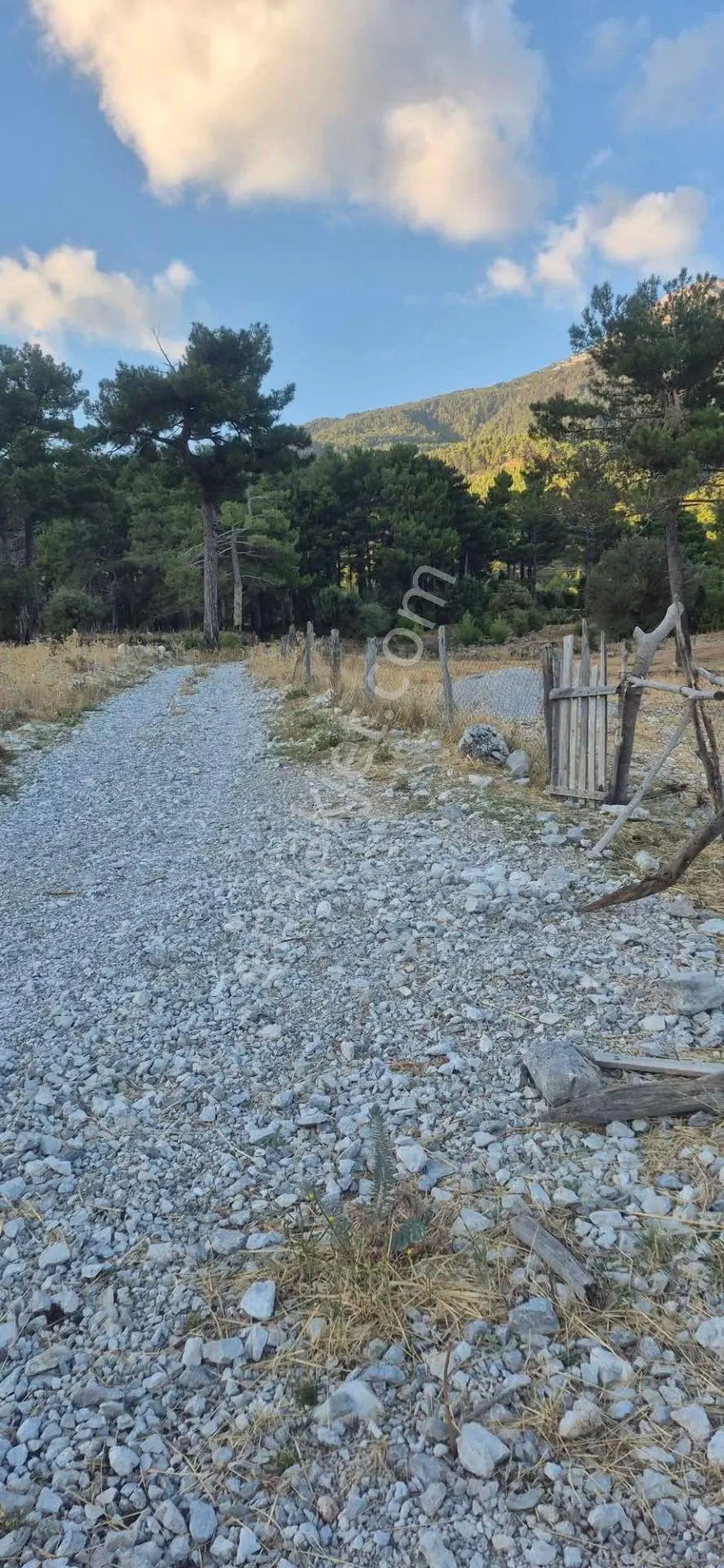 Fethiye Nif Köyü Gedre Mevkınde Satılık Müstakil Tapu Arazı — fotoğraf 4