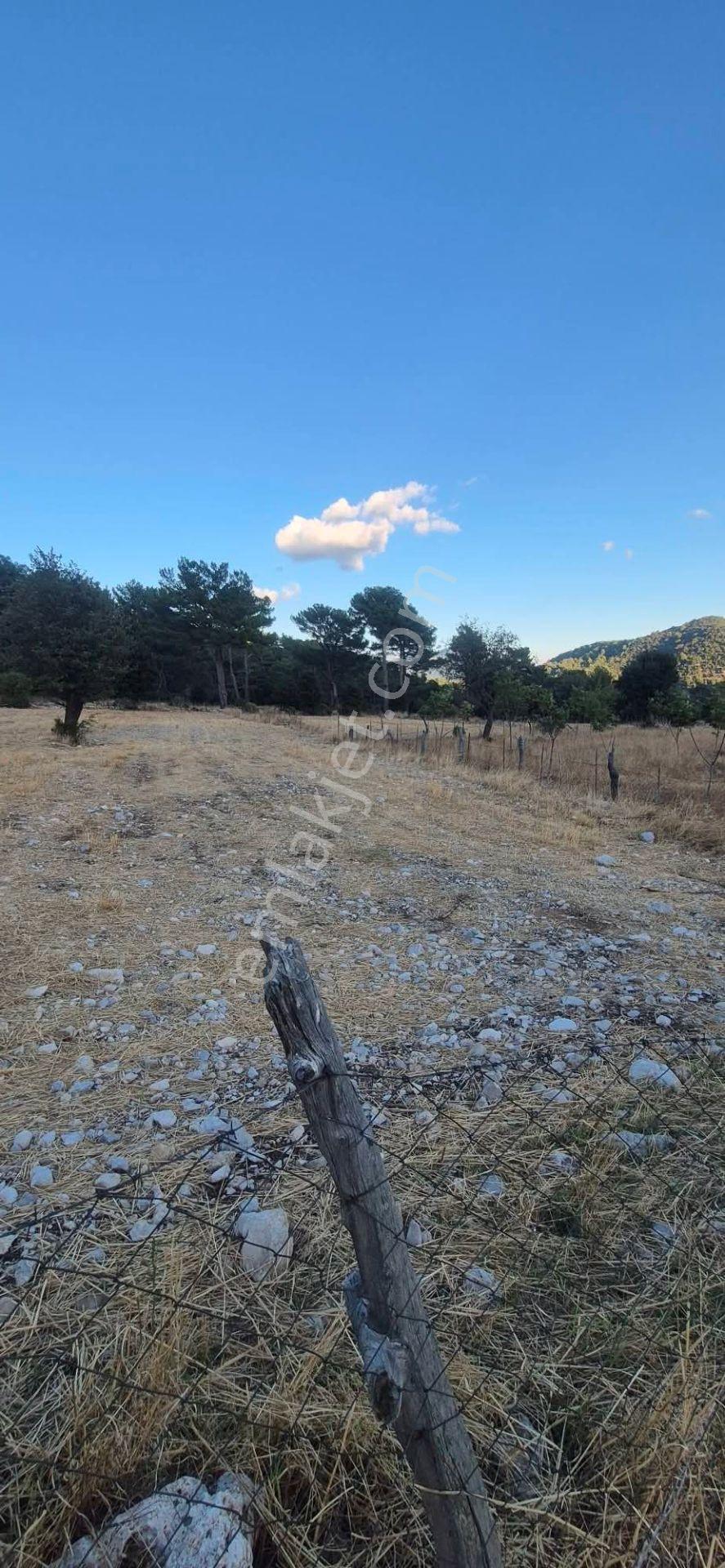 Fethiye Nif Köyü Gedre Mevkınde Satılık Müstakil Tapu Arazı — fotoğraf 6