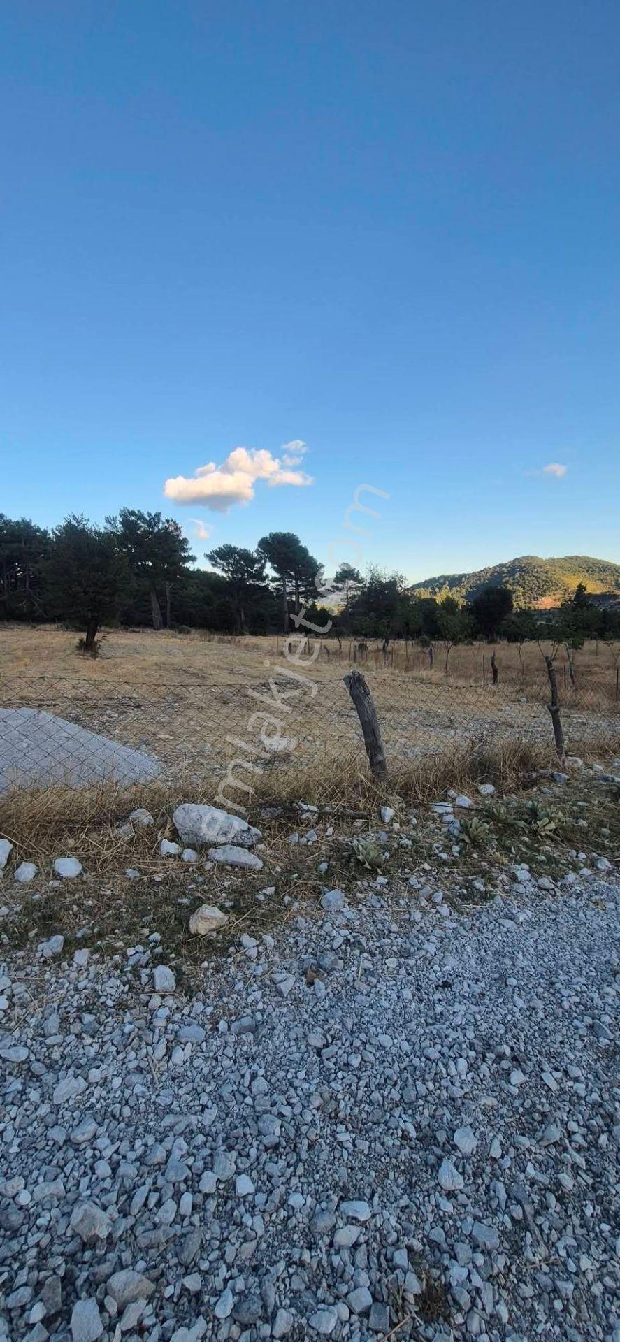 Fethiye Nif Köyü Gedre Mevkınde Satılık Müstakil Tapu Arazı — fotoğraf 7