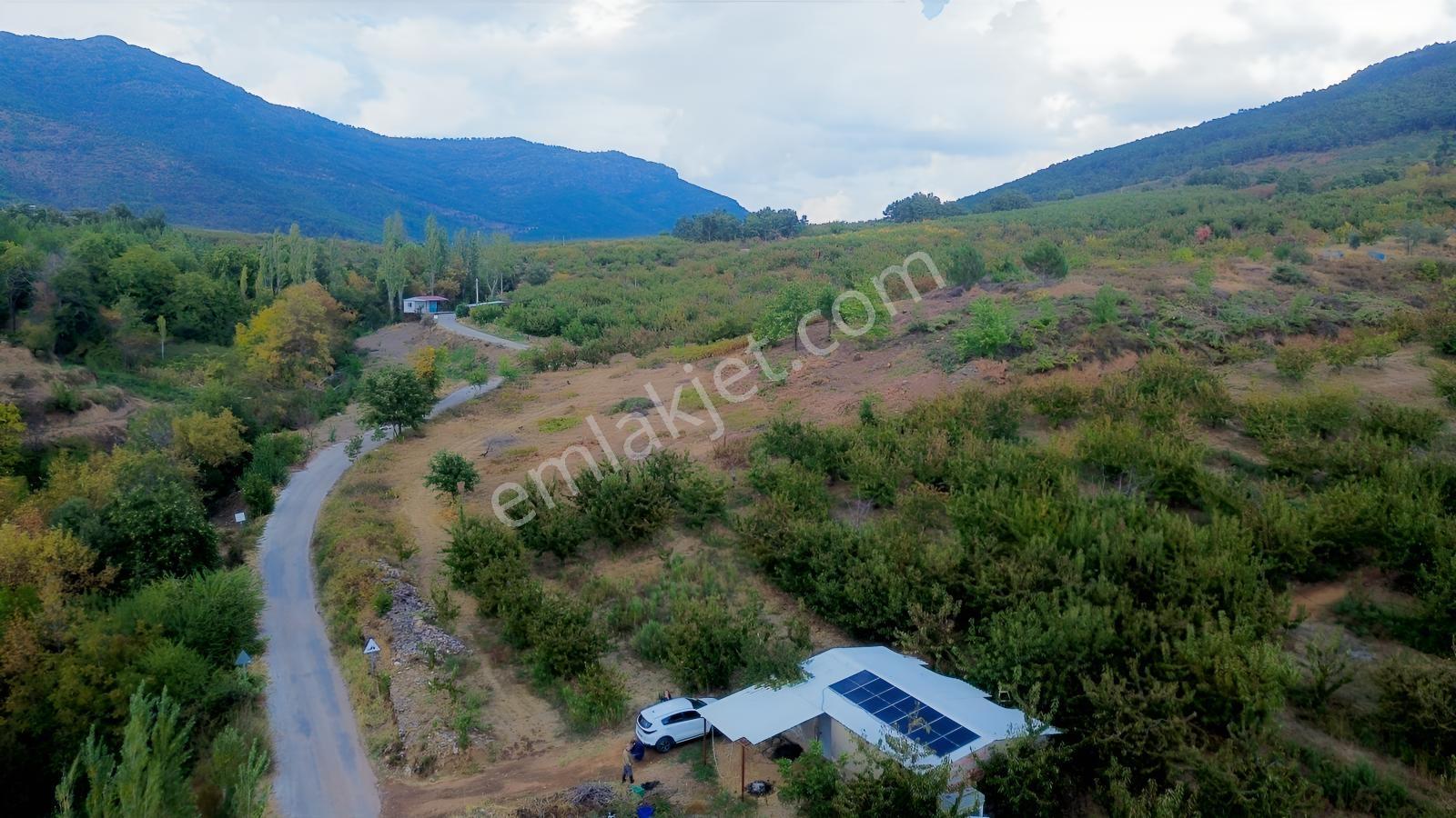 Erdden Kemalpaşa Kamberlerde 11.515 M² 100 Metre Yol Cepheli