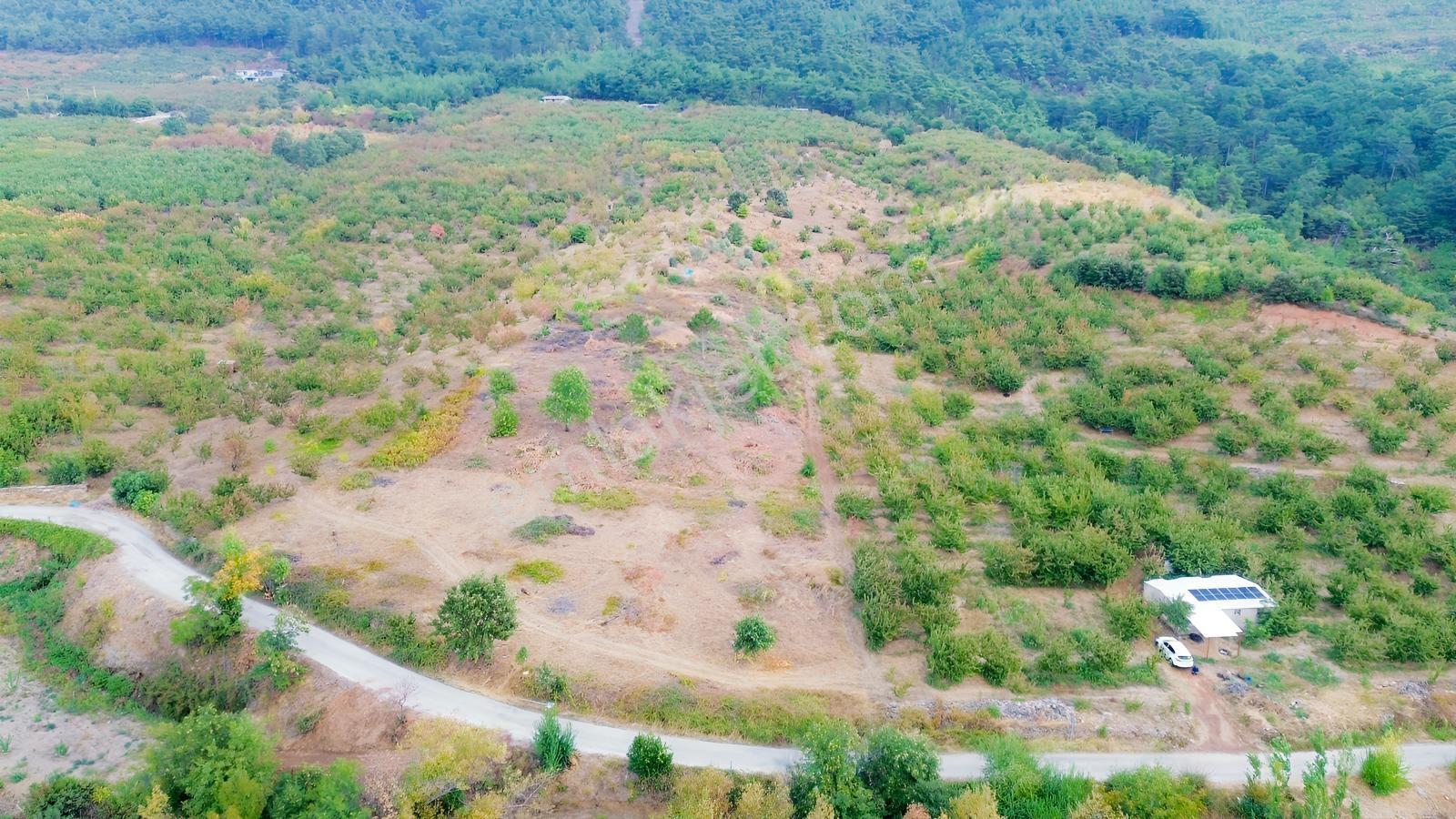 Erdden Kemalpaşa Kamberlerde 11.515 M² 100 Metre Yol Cepheli — fotoğraf 2