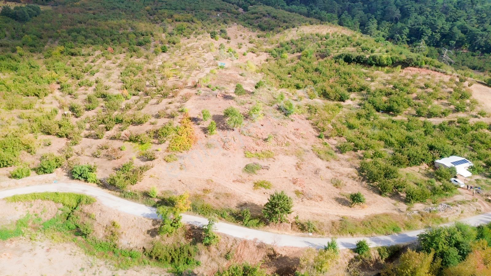 Erdden Kemalpaşa Kamberlerde 11.515 M² 100 Metre Yol Cepheli — fotoğraf 3