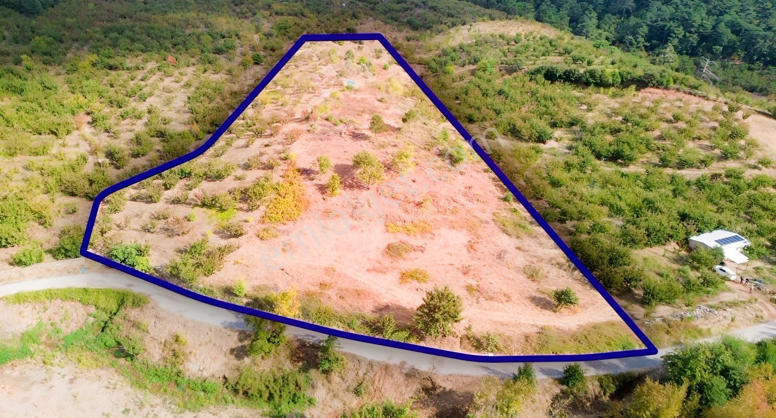Erdden Kemalpaşa Kamberlerde 11.515 M² 100 Metre Yol Cepheli — fotoğraf 4