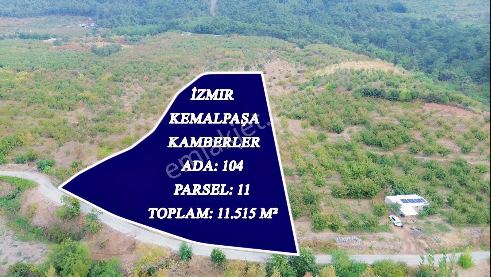 Erdden Kemalpaşa Kamberlerde 11.515 M² 100 Metre Yol Cepheli — fotoğraf 6
