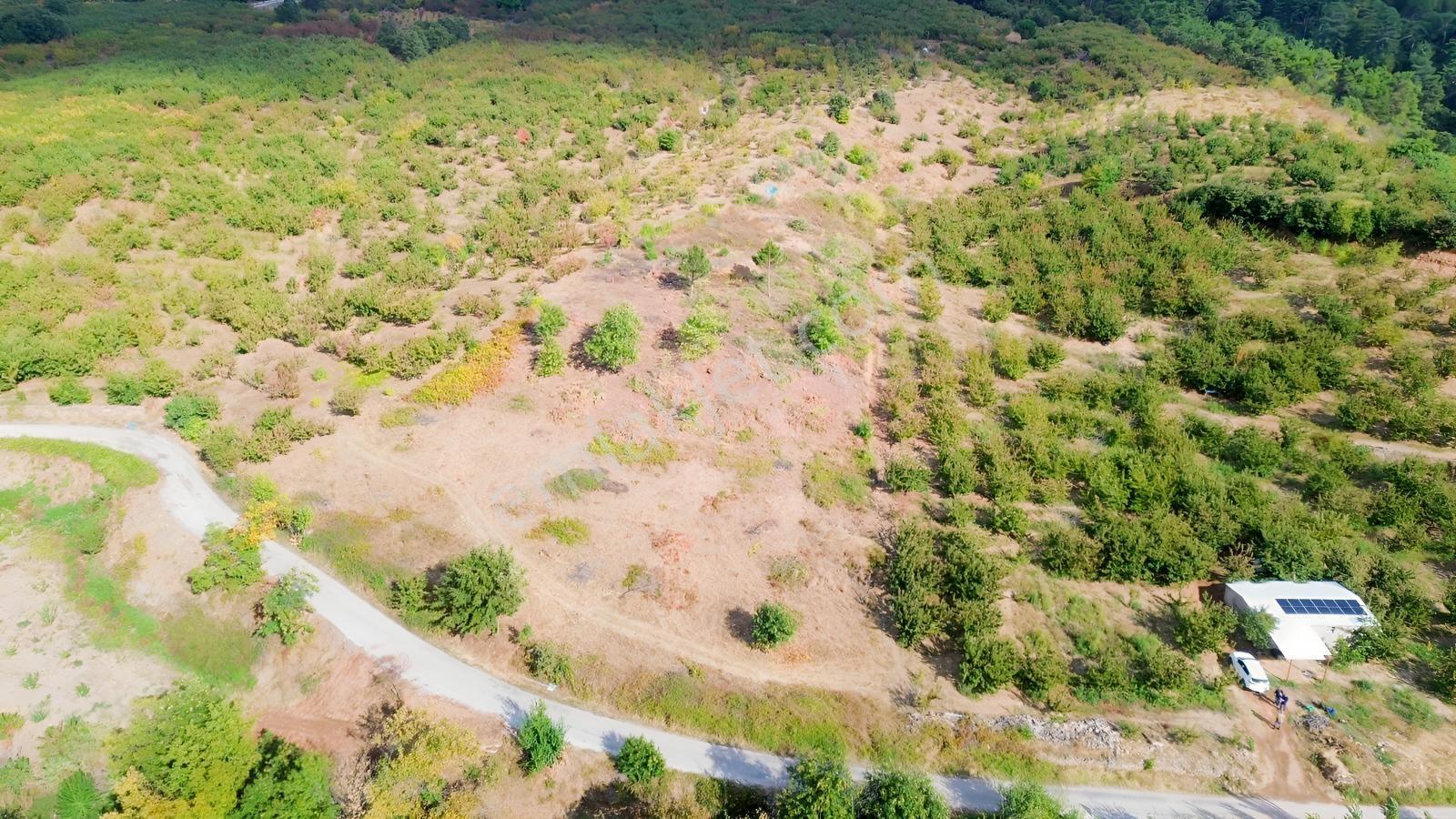 Erdden Kemalpaşa Kamberlerde 11.515 M² 100 Metre Yol Cepheli — fotoğraf 7