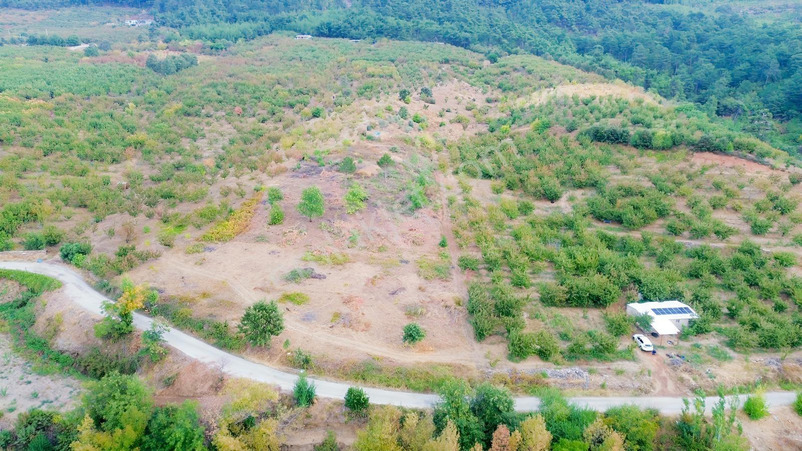 Erdden Kemalpaşa Kamberlerde 11.515 M² 100 Metre Yol Cepheli — fotoğraf 8