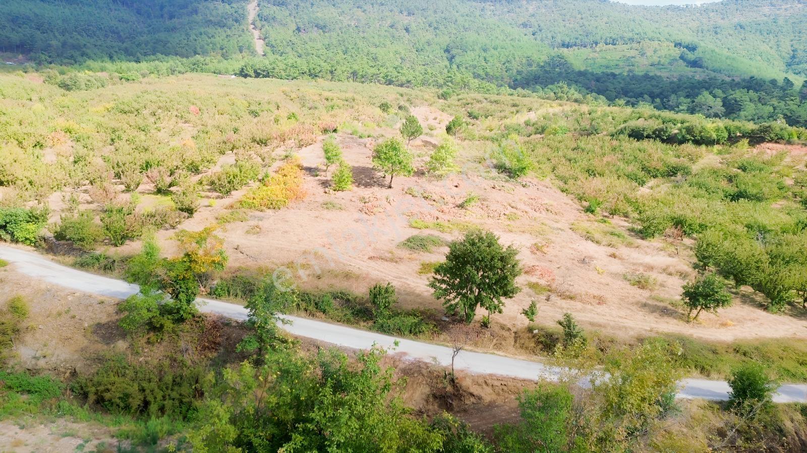 Erdden Kemalpaşa Kamberlerde 11.515 M² 100 Metre Yol Cepheli — fotoğraf 9