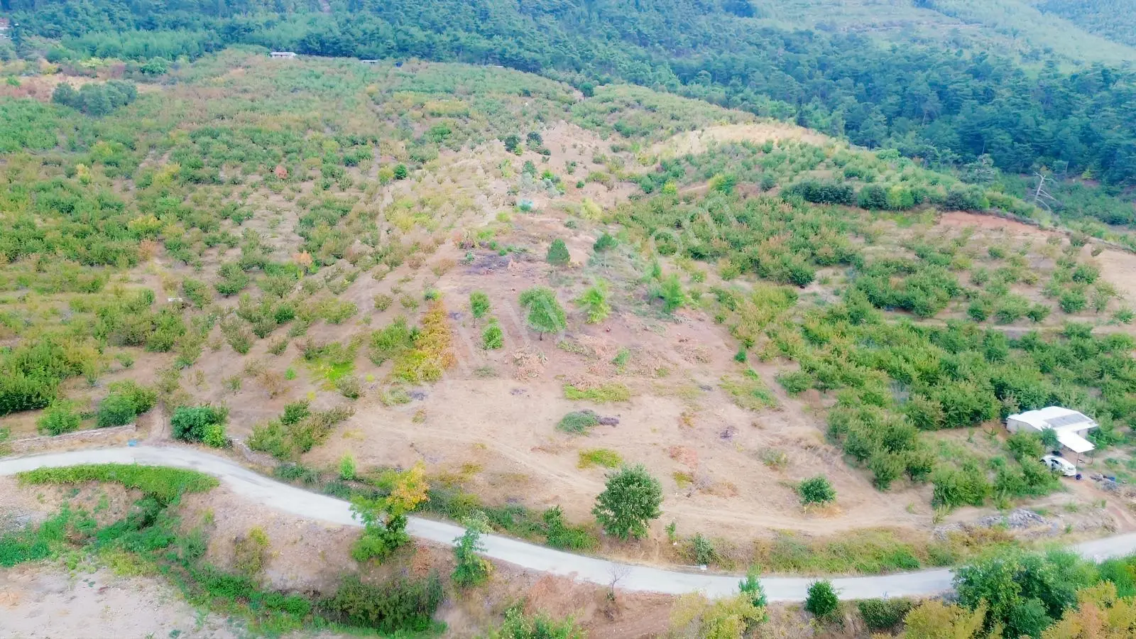 Erdden Kemalpaşa Kamberlerde 11.515 M² 100 Metre Yol Cepheli — fotoğraf 10