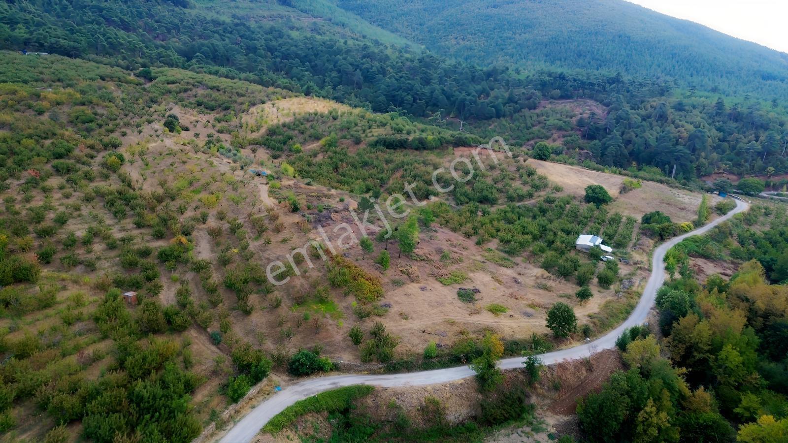Erdden Kemalpaşa Kamberlerde 11.515 M² 100 Metre Yol Cepheli — fotoğraf 11