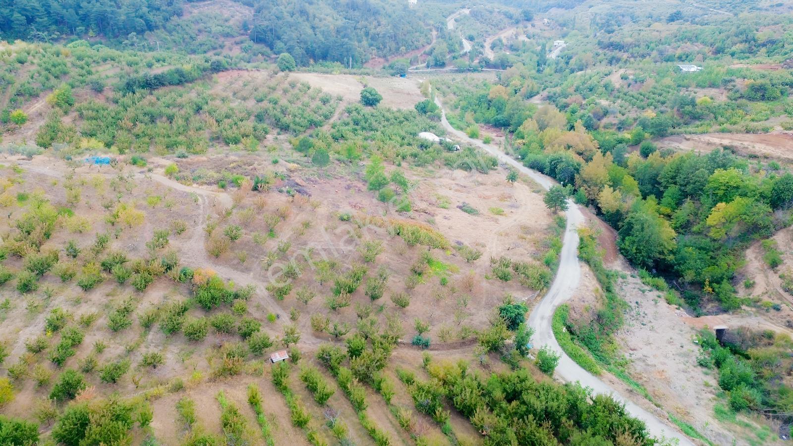 Erdden Kemalpaşa Kamberlerde 11.515 M² 100 Metre Yol Cepheli — fotoğraf 12