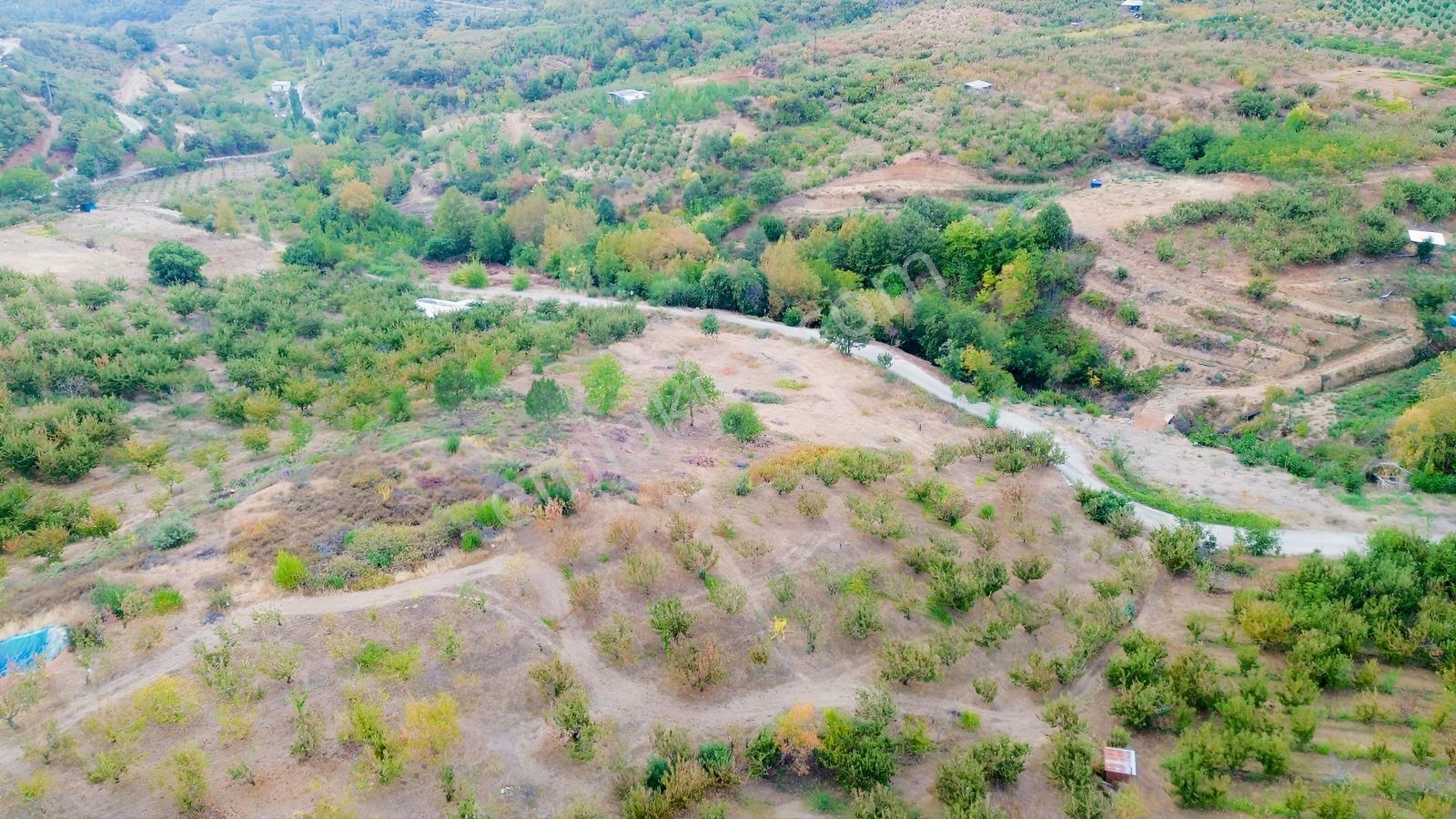 Erdden Kemalpaşa Kamberlerde 11.515 M² 100 Metre Yol Cepheli — fotoğraf 13