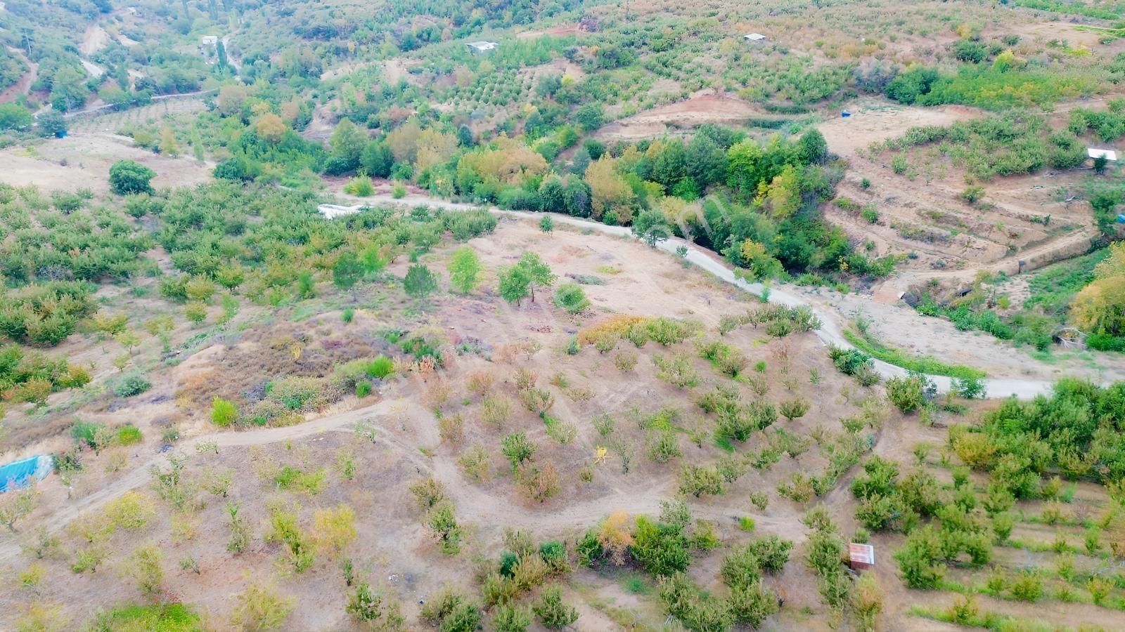 Erdden Kemalpaşa Kamberlerde 11.515 M² 100 Metre Yol Cepheli — fotoğraf 14