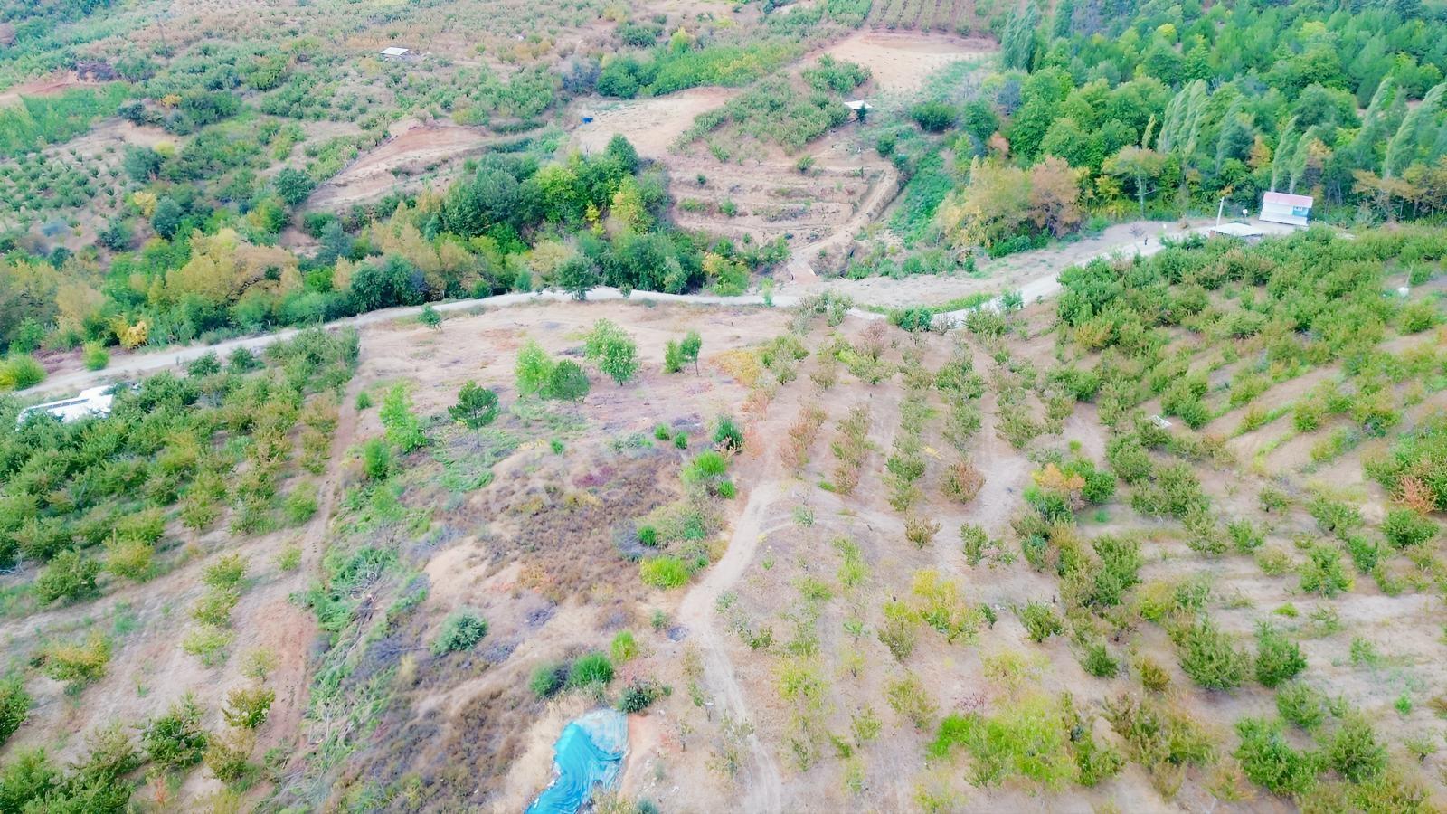 Erdden Kemalpaşa Kamberlerde 11.515 M² 100 Metre Yol Cepheli — fotoğraf 15