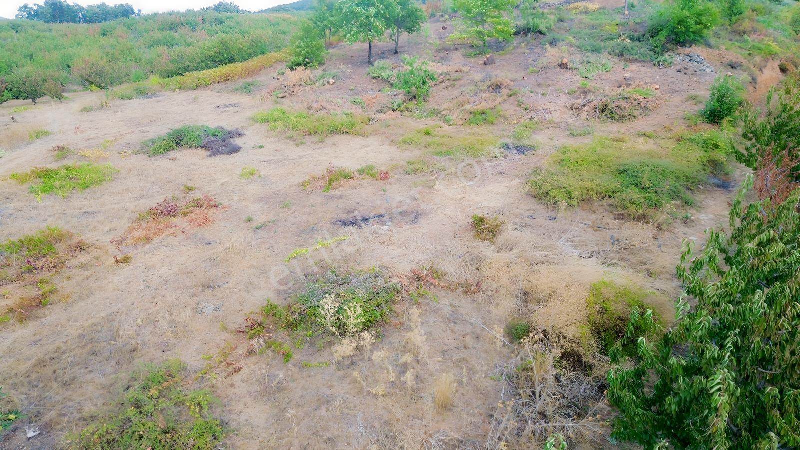 Erdden Kemalpaşa Kamberlerde 11.515 M² 100 Metre Yol Cepheli — fotoğraf 16