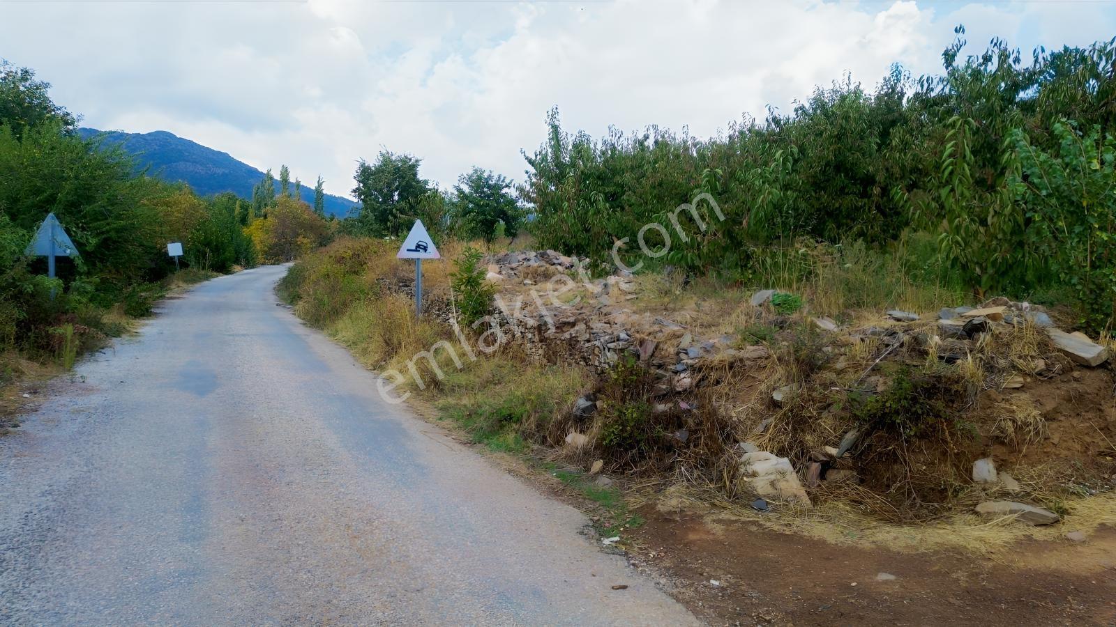 Erdden Kemalpaşa Kamberlerde 11.515 M² 100 Metre Yol Cepheli — fotoğraf 18