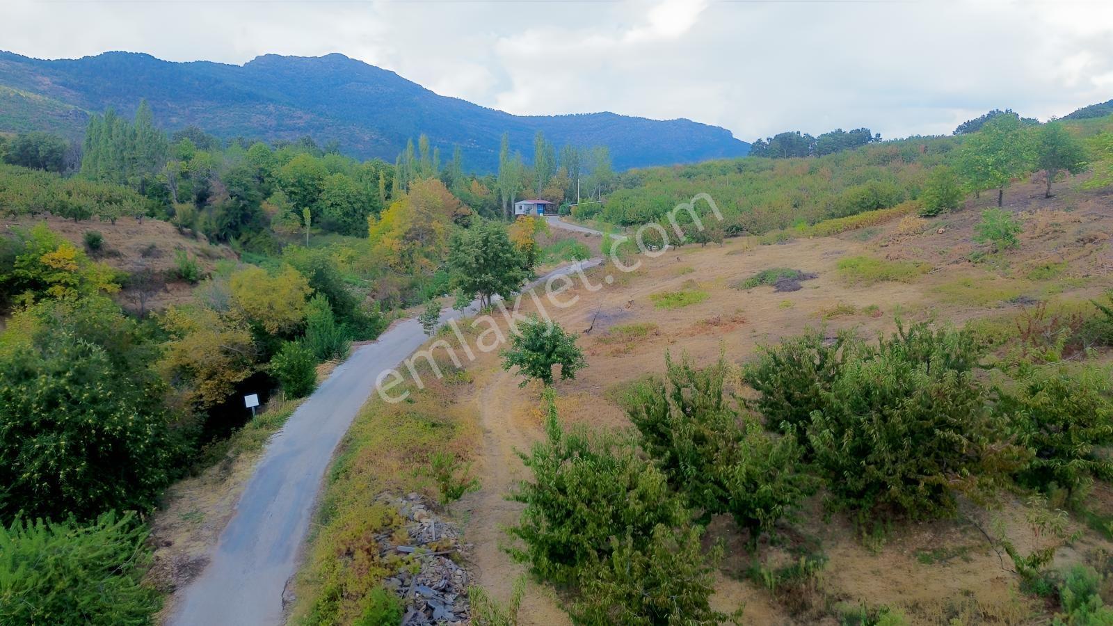 Erdden Kemalpaşa Kamberlerde 11.515 M² 100 Metre Yol Cepheli — fotoğraf 19