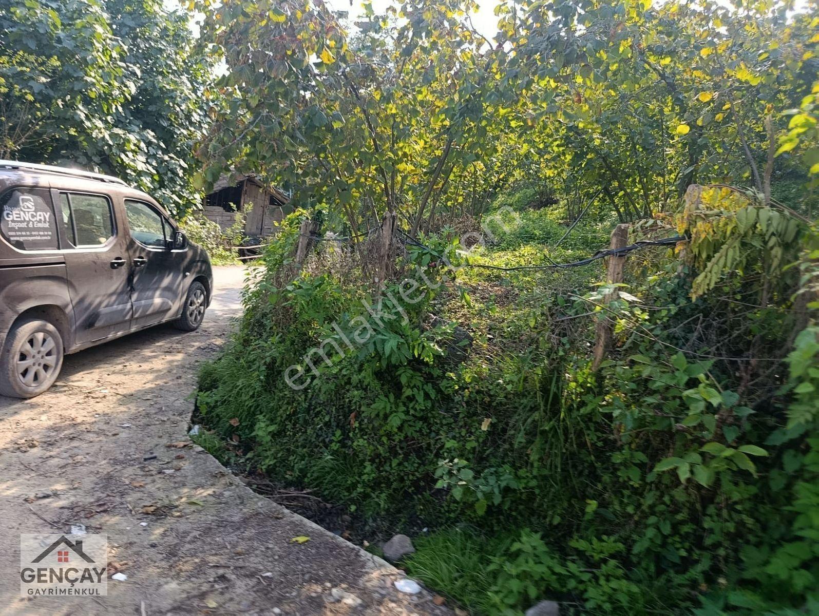 🌿 Gençay Emlak’tan Fatsa Meşebükü Mahallesi’nde Satılık 4600m² Arazi! — fotoğraf 6