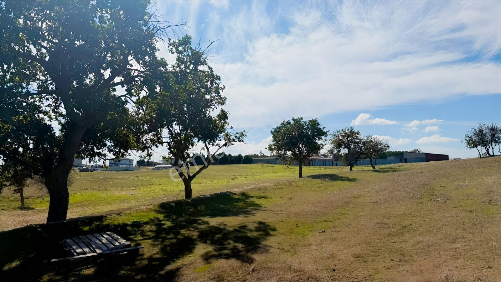 Var'dan Çerkezköy Kızılpınar Mah. 411m2 4 Kat İmarlı Arsa — fotoğraf 23
