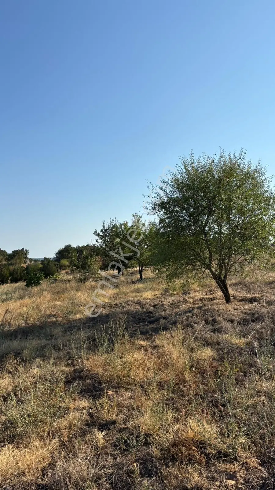 Kırklarelinin Yürükbayır Köyünden Satılık Arsa 3.500 M2 — fotoğraf 10