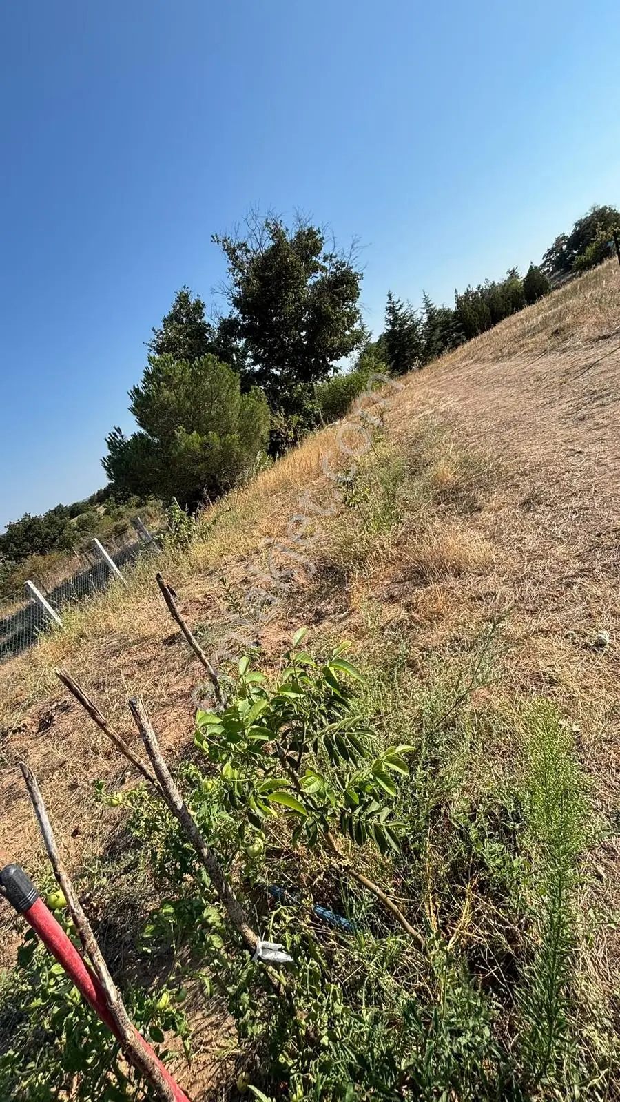 Kırklarelinin Yürükbayır Köyünden Satılık Arsa 3.500 M2 — fotoğraf 13