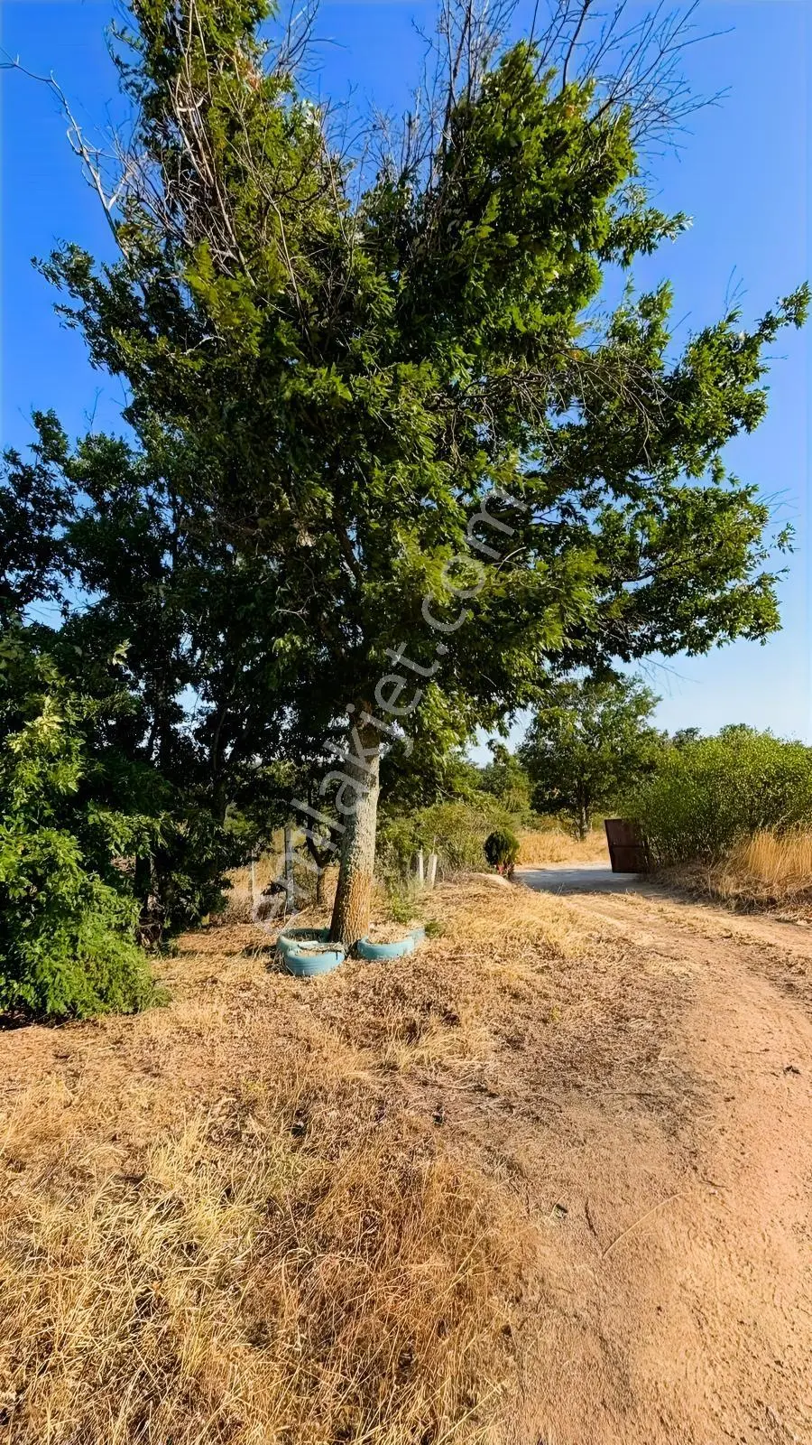Kırklarelinin Yürükbayır Köyünden Satılık Arsa 3.500 M2 — fotoğraf 16