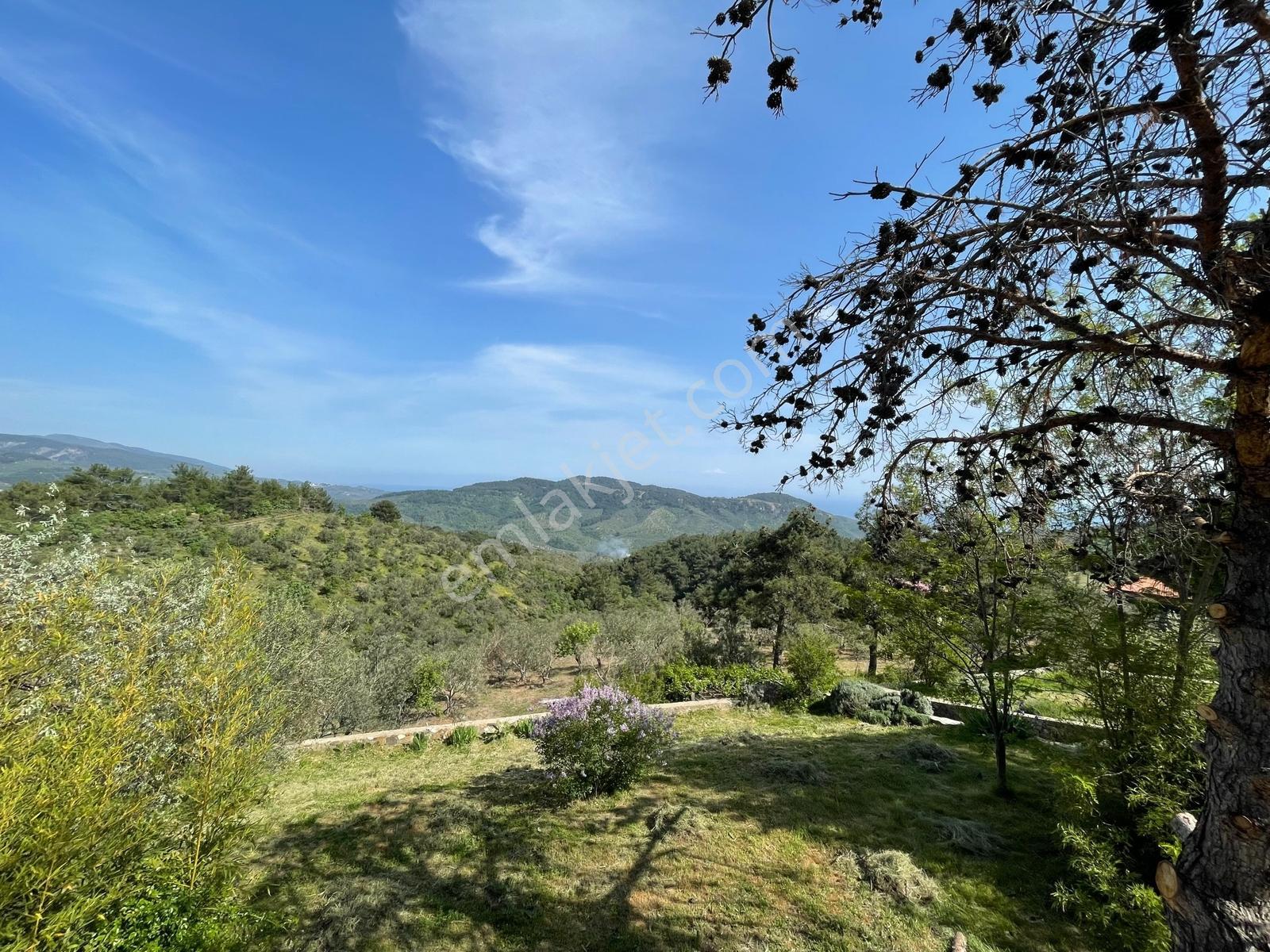 Kaz Dağları Deniz Manzaralı 4600 M2 Arsa İçinde İki Adet Villa — fotoğraf 10