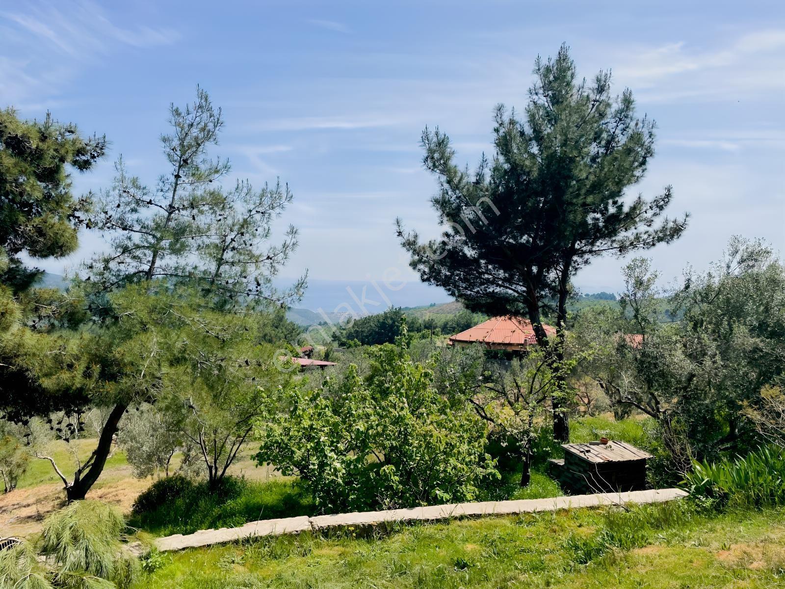Kaz Dağları Deniz Manzaralı 4600 M2 Arsa İçinde İki Adet Villa — fotoğraf 12