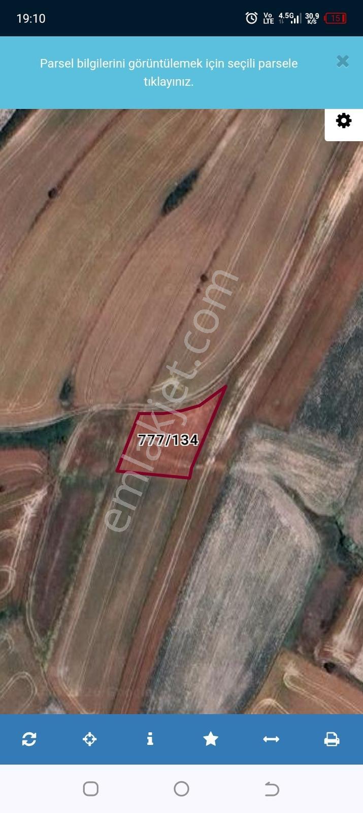 Re/max Land'den Yatırımlık Arazi — fotoğraf 4