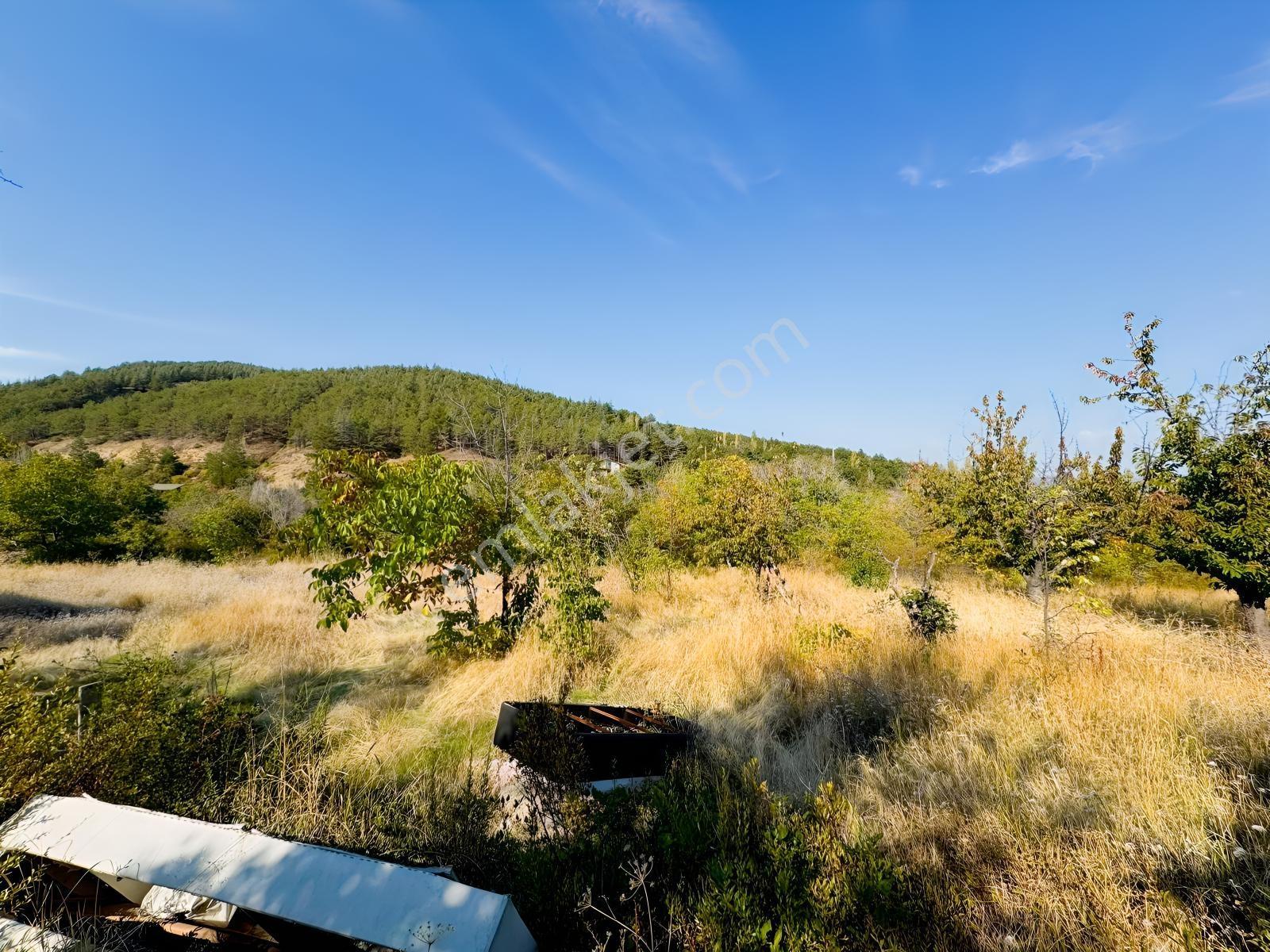 Mes Emlak'tan Eldivanda 1581m2 Satılık Evli Hobi Bahçesi — fotoğraf 20