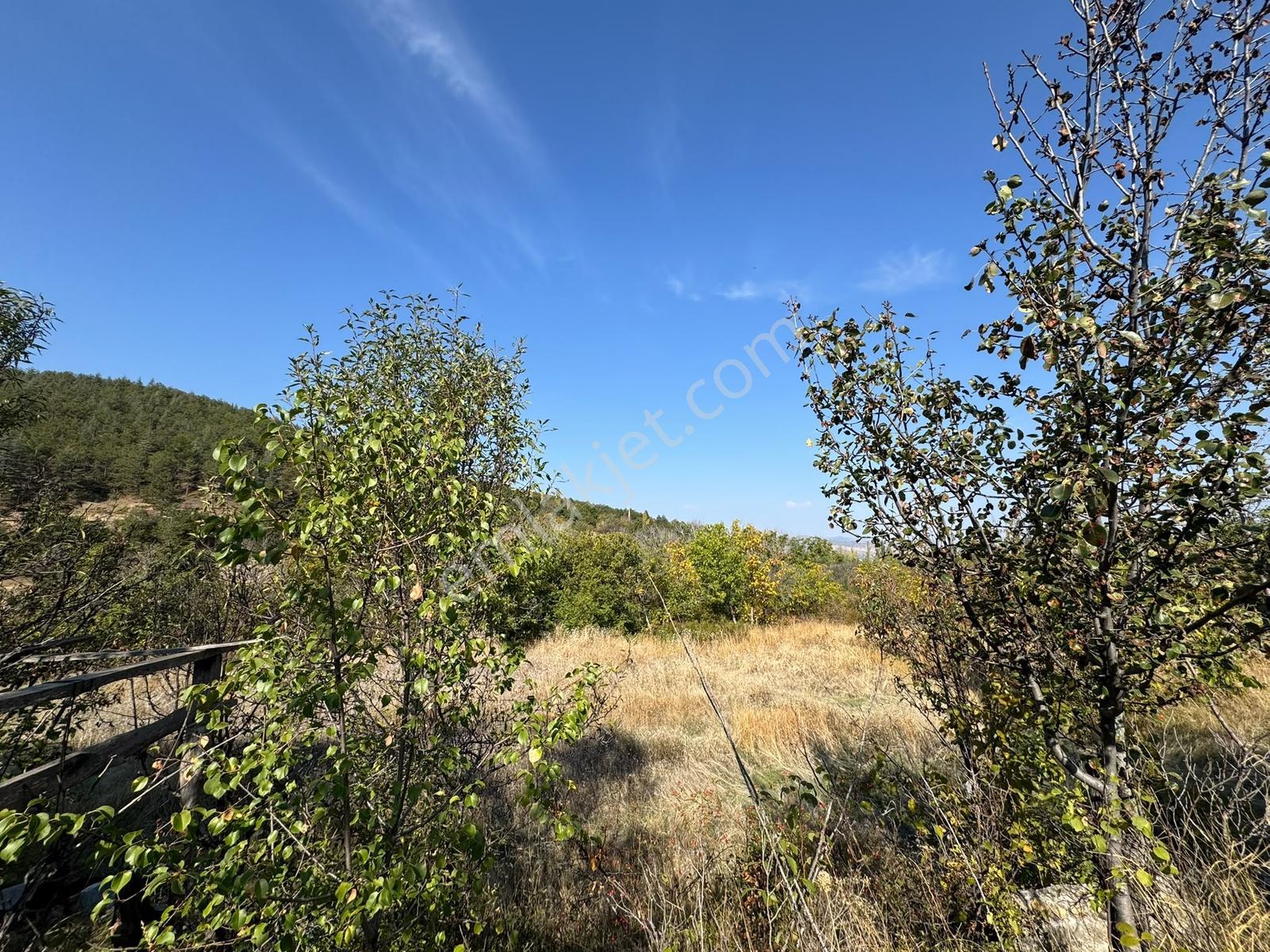 Mes Emlak'tan Eldivanda 1581m2 Satılık Evli Hobi Bahçesi — fotoğraf 21