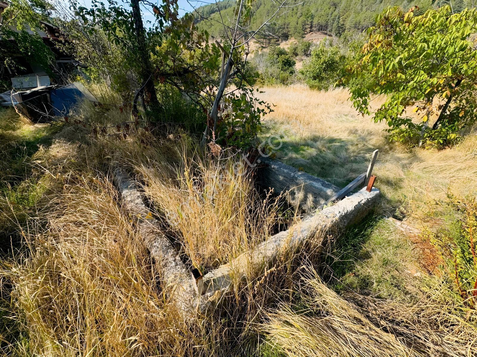 Mes Emlak'tan Eldivanda 1581m2 Satılık Evli Hobi Bahçesi — fotoğraf 25