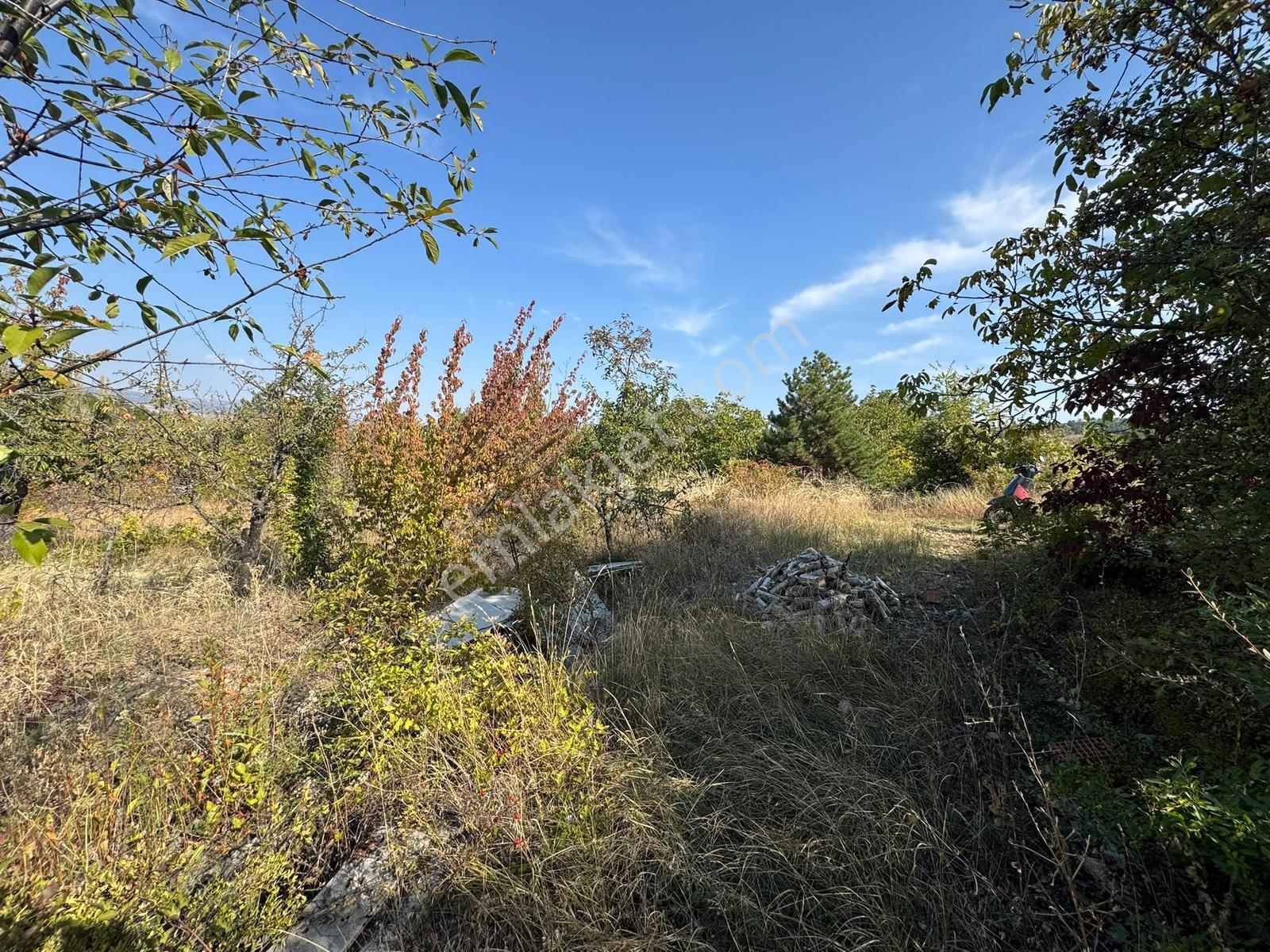Mes Emlak'tan Eldivanda 1581m2 Satılık Evli Hobi Bahçesi — fotoğraf 27