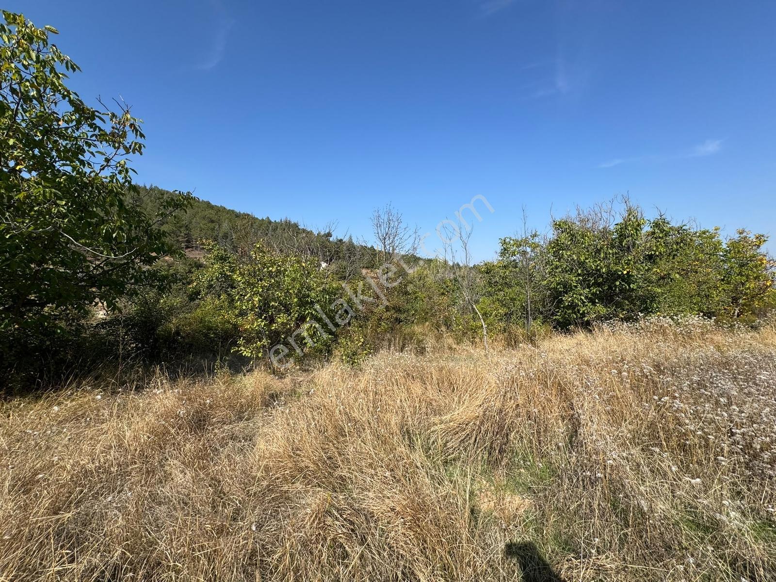 Mes Emlak'tan Eldivanda 1581m2 Satılık Evli Hobi Bahçesi — fotoğraf 28