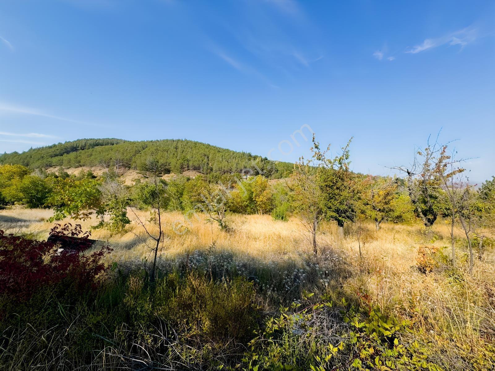 Mes Emlak'tan Eldivanda 1581m2 Satılık Evli Hobi Bahçesi — fotoğraf 32