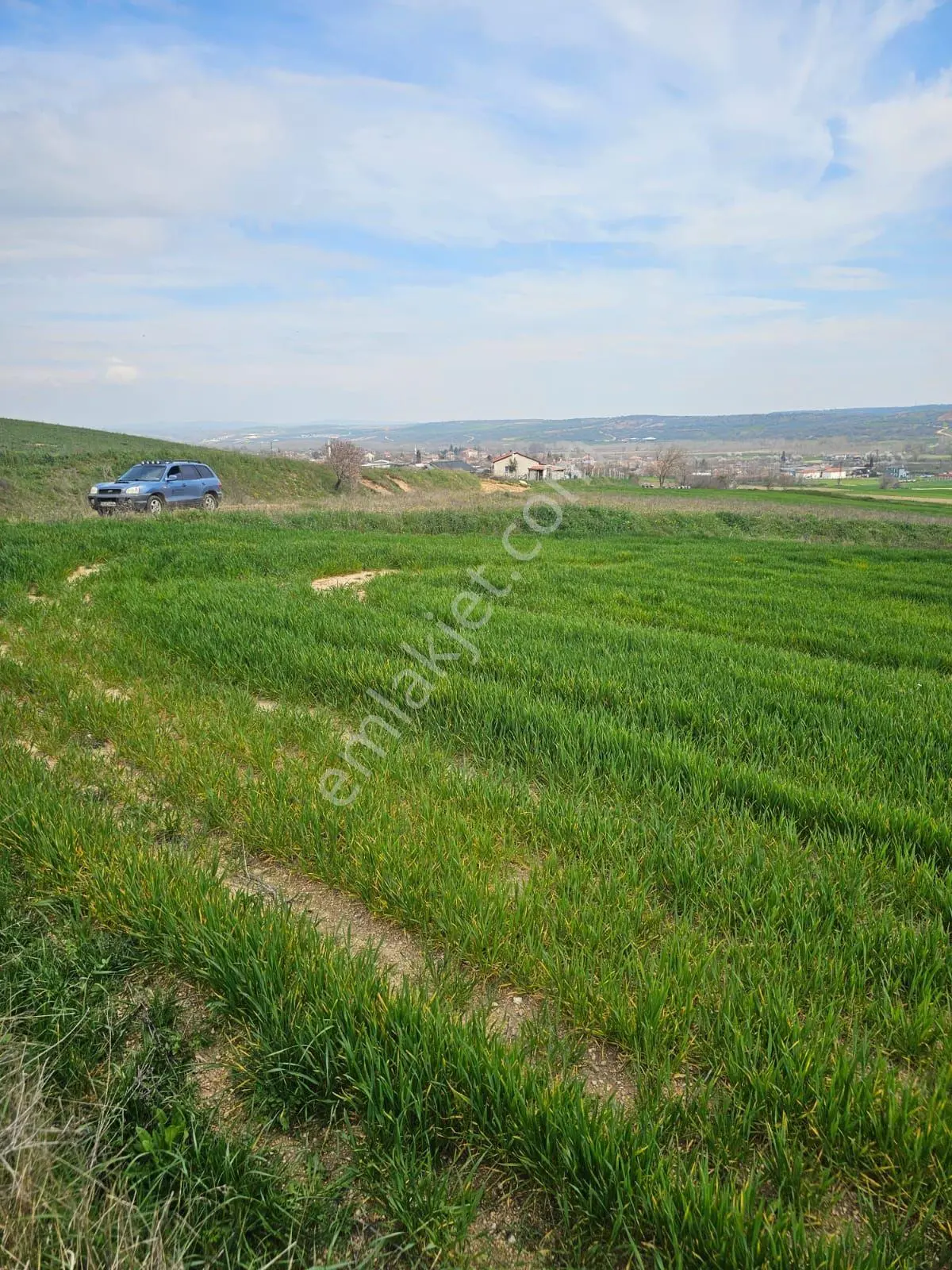 Kırklareli Koyunbaba'da Doğa Manzaralı 1200 M² Satılık Tarla
