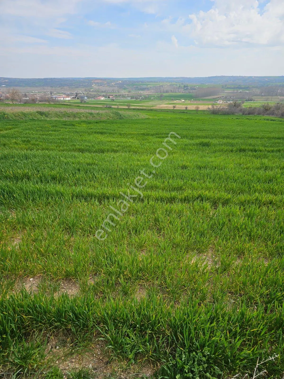 Kırklareli Koyunbaba'da Doğa Manzaralı 1200 M² Satılık Tarla — fotoğraf 2