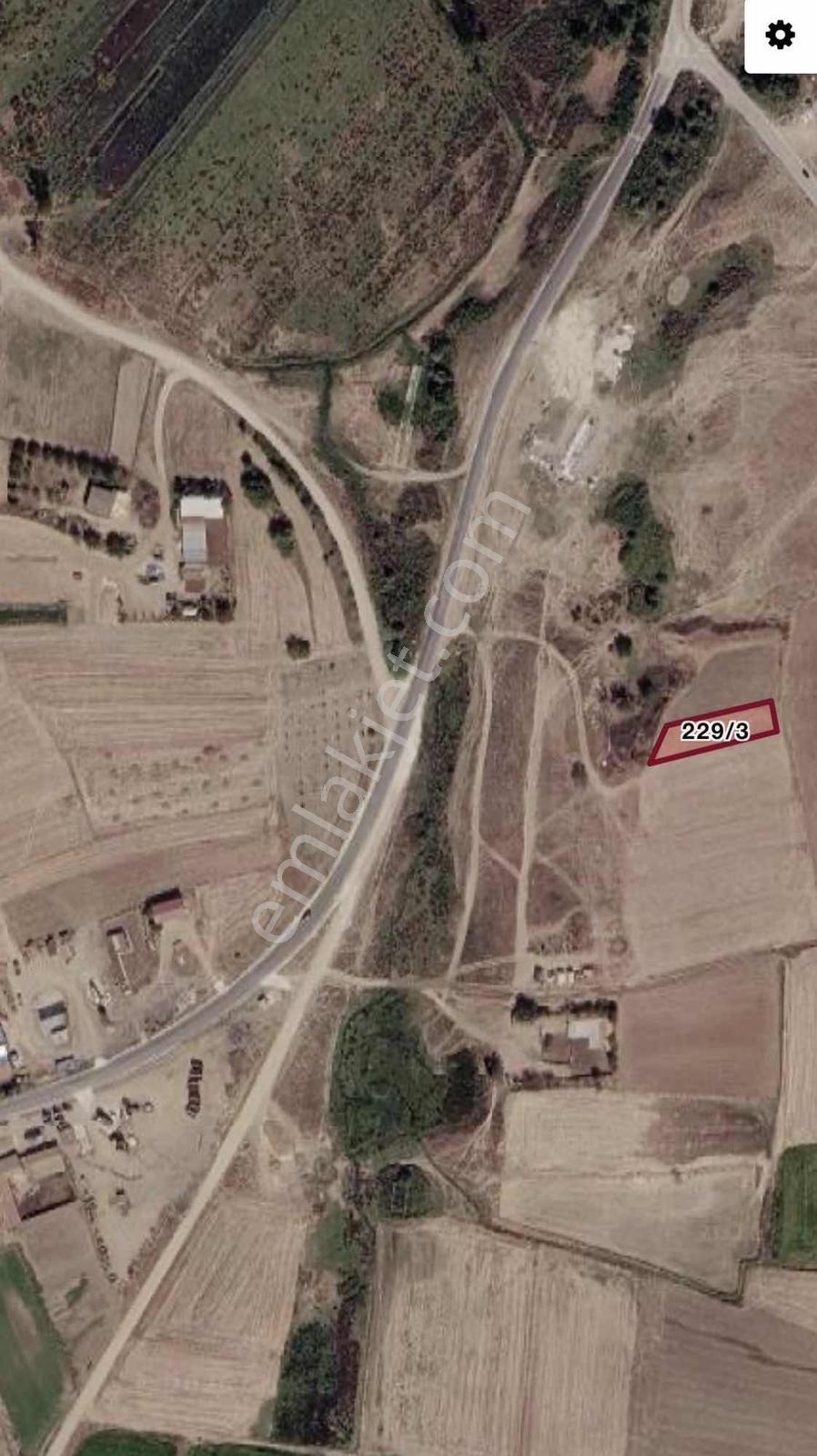 Edrine Merkez Höyüklütatar Tek Tapu 866M2 Tarla Resmi Yolu Var