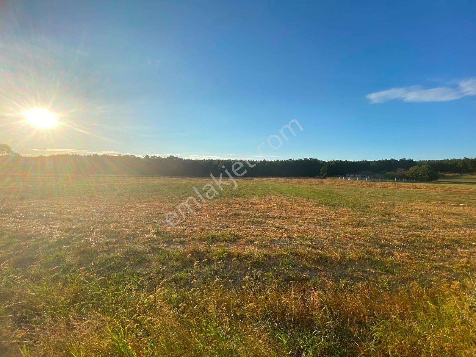 Remax Land'den Saray Küçükyoncalı'da Yatırımlık Tarla — fotoğraf 5