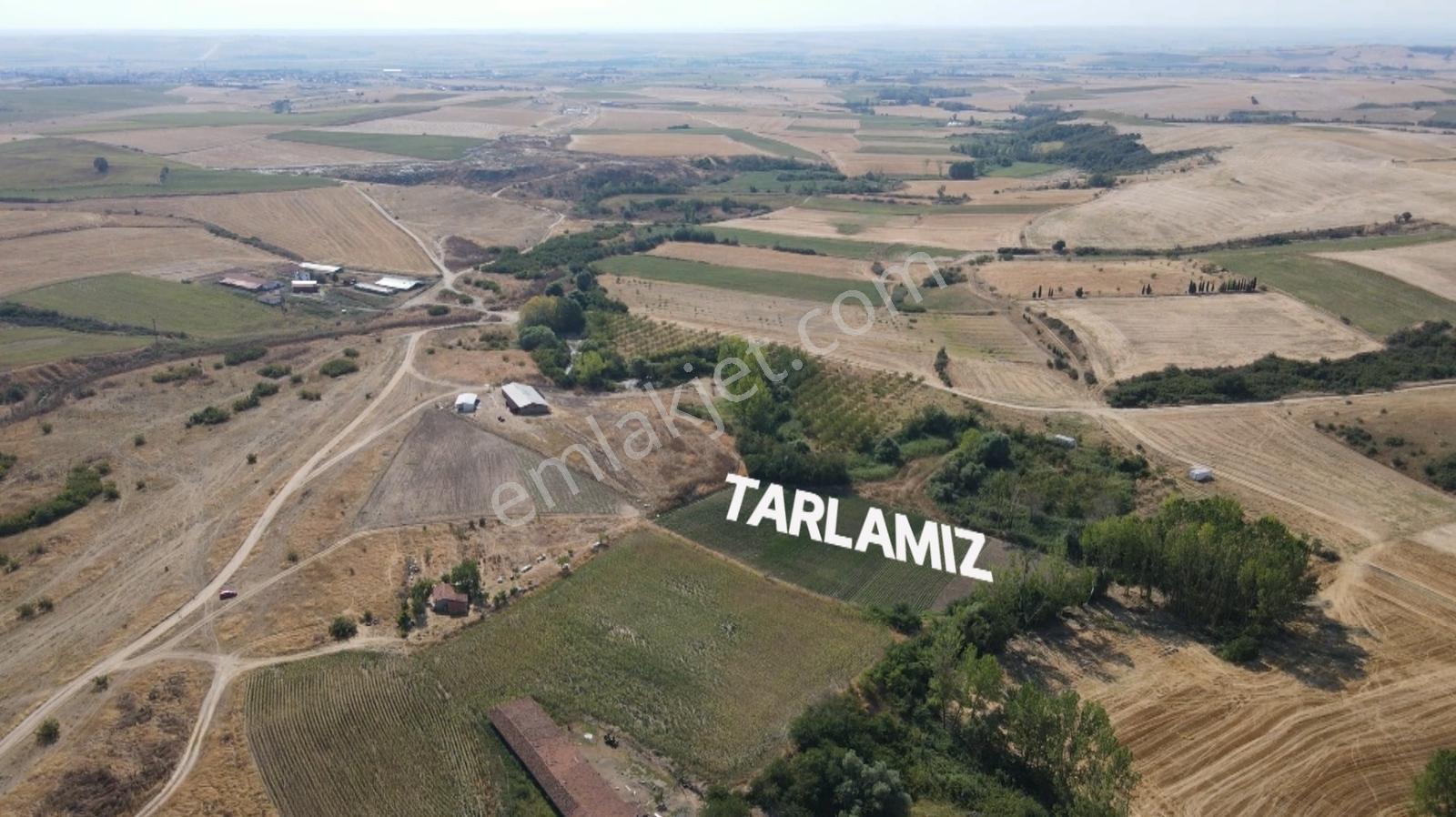 Remax Land'den Organize San.yakınında Zirvede Tek Tapu 9.028 M2 — fotoğraf 12