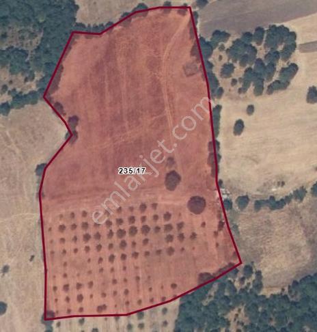 Lider'Den Çanakkale Bayramiç Muratlar Köyünde 21.000,00M2 Tarla