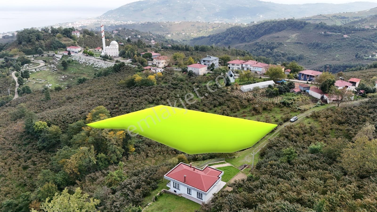 Ordu Perşembe Beylide Deniz Manzaralı 1.500 M² Satılık Arazi — fotoğraf 2
