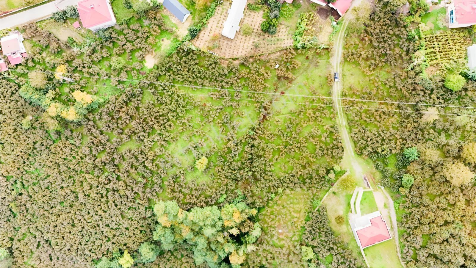 Ordu Perşembe Beylide Deniz Manzaralı 1.500 M² Satılık Arazi — fotoğraf 3