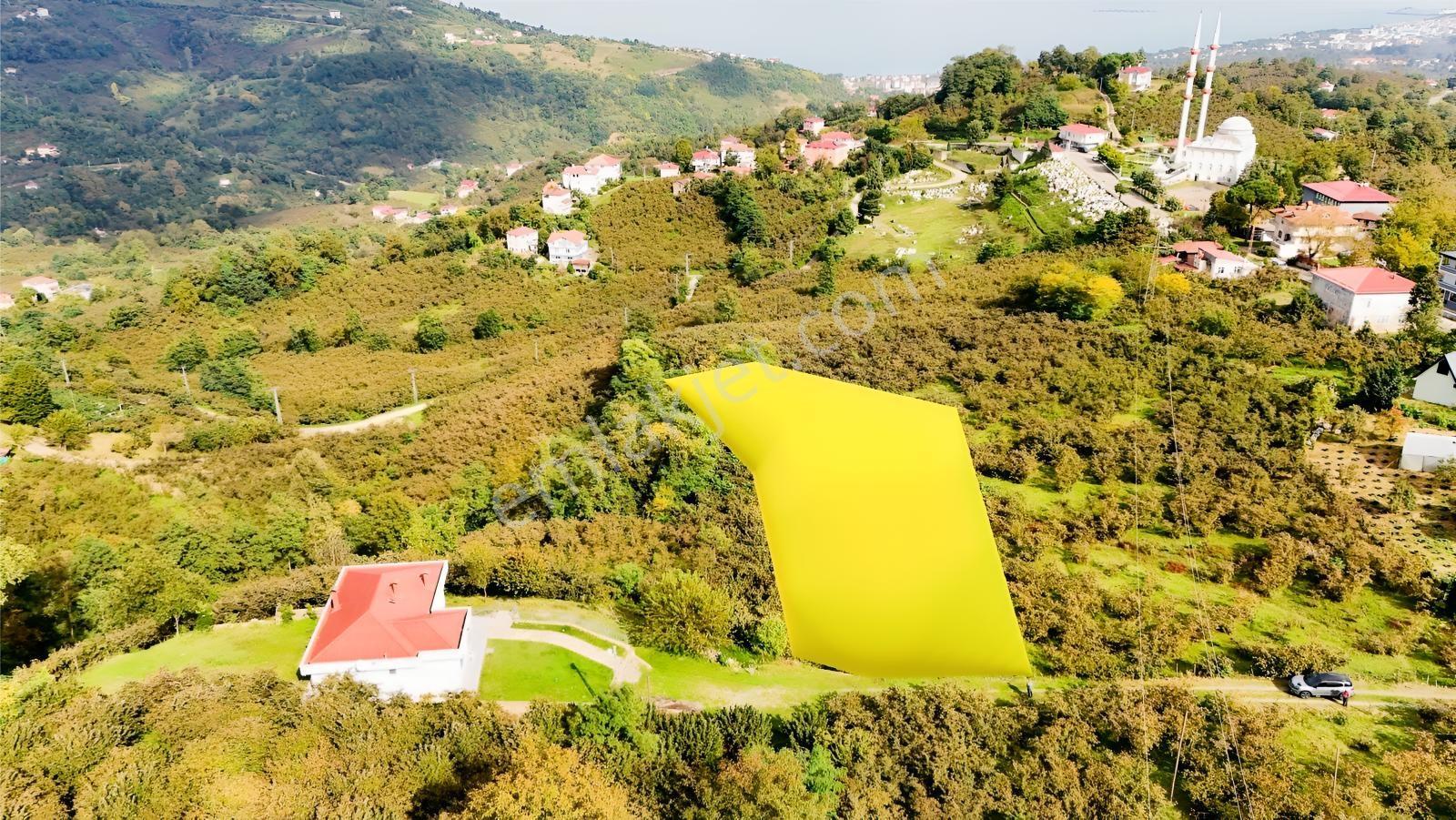 Ordu Perşembe Beylide Deniz Manzaralı 1.500 M² Satılık Arazi — fotoğraf 5