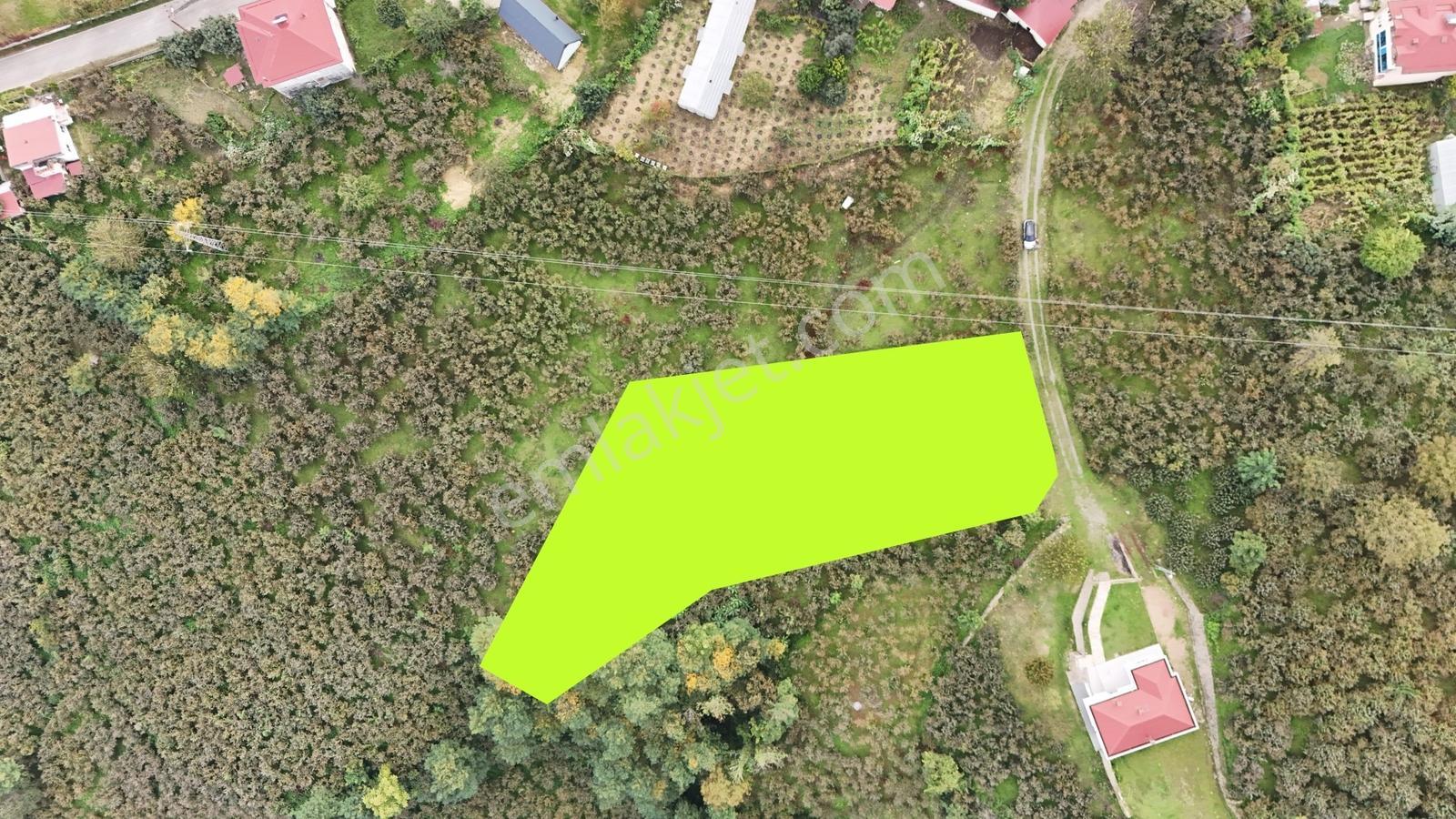 Ordu Perşembe Beylide Deniz Manzaralı 1.500 M² Satılık Arazi — fotoğraf 7