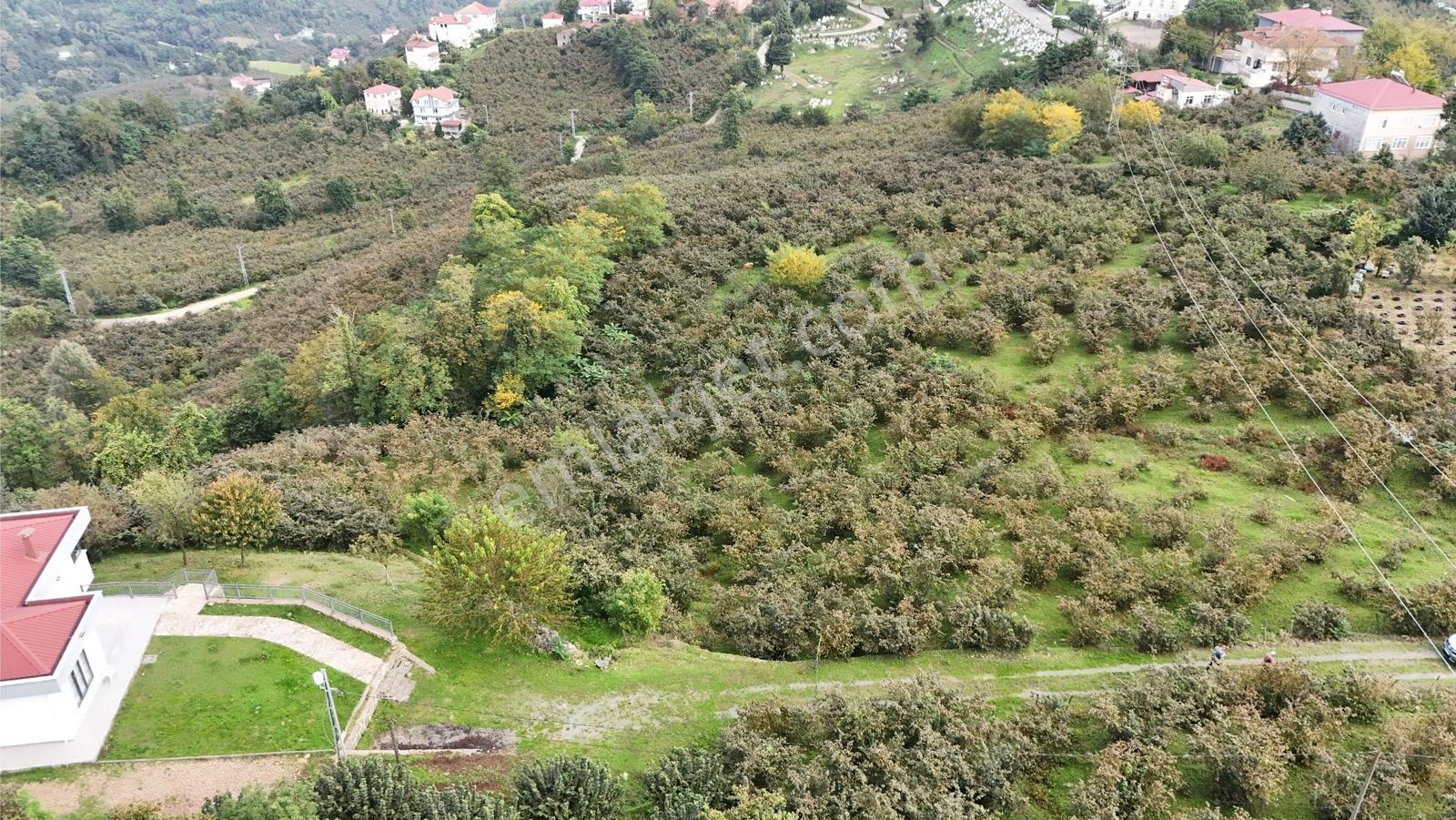 Ordu Perşembe Beylide Deniz Manzaralı 1.500 M² Satılık Arazi — fotoğraf 11