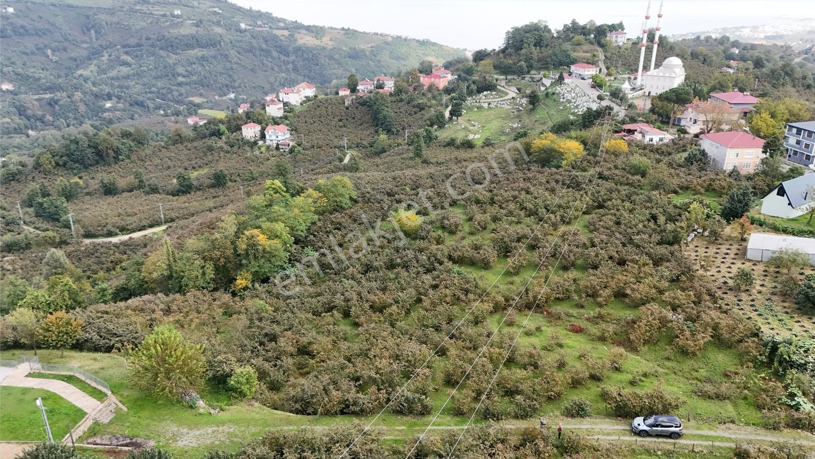 Ordu Perşembe Beylide Deniz Manzaralı 1.500 M² Satılık Arazi — fotoğraf 13