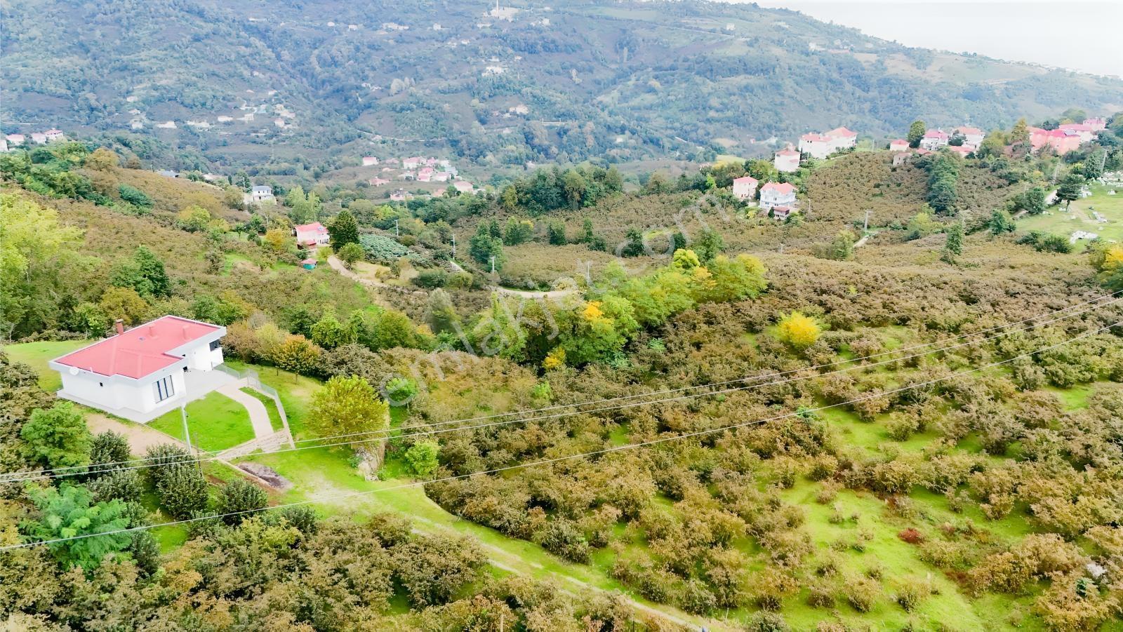 Ordu Perşembe Beylide Deniz Manzaralı 1.500 M² Satılık Arazi — fotoğraf 15