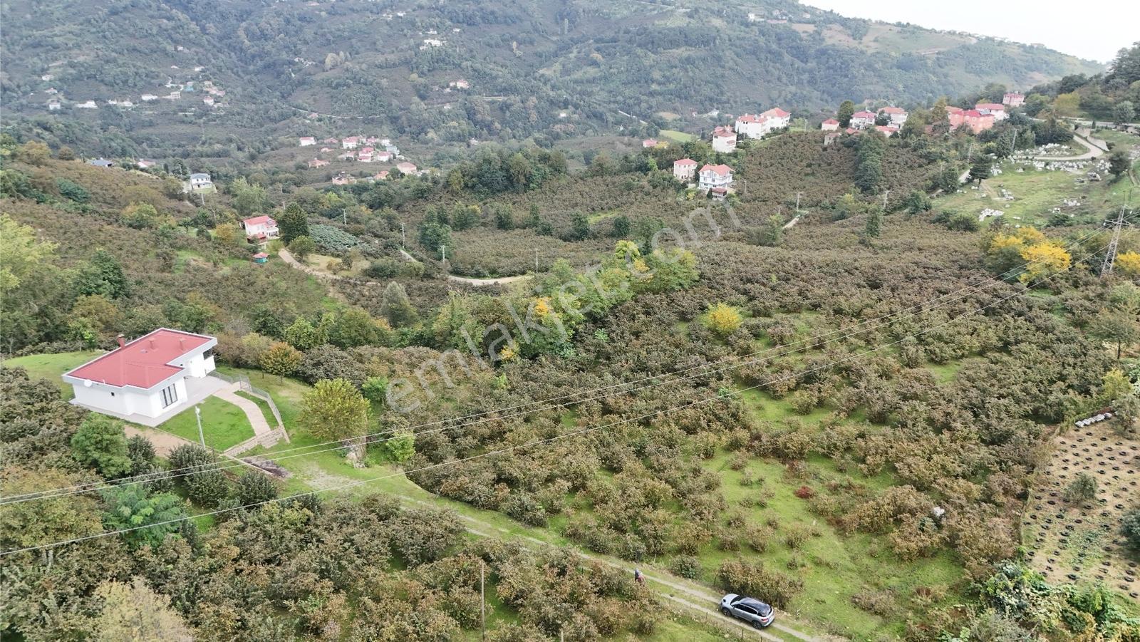 Ordu Perşembe Beylide Deniz Manzaralı 1.500 M² Satılık Arazi — fotoğraf 16