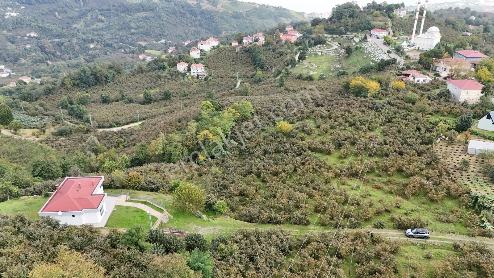 Ordu Perşembe Beylide Deniz Manzaralı 1.500 M² Satılık Arazi — fotoğraf 17